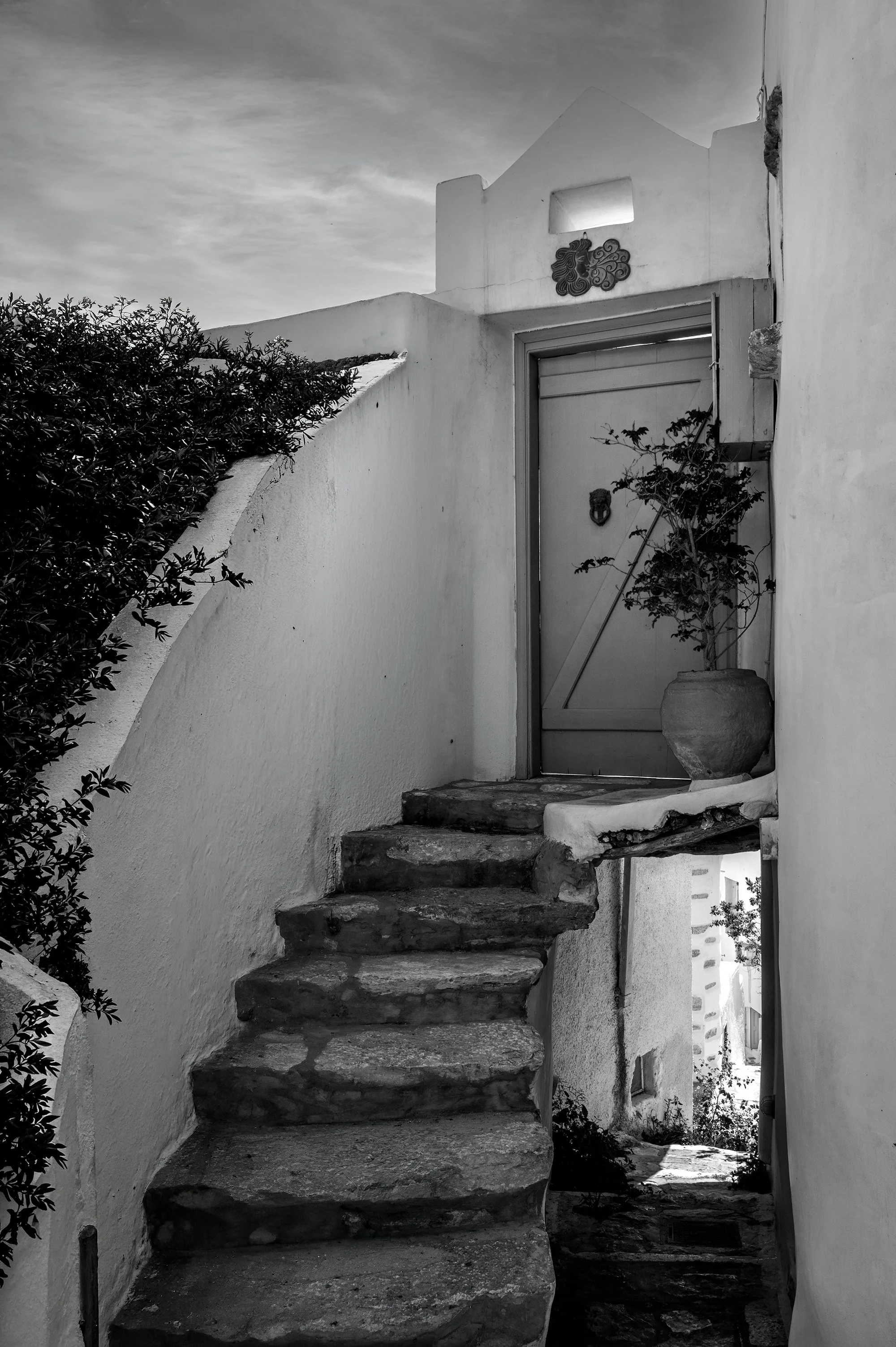 _DSC0188 step 5 Squarespace.jpg