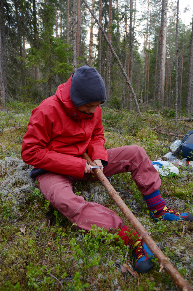 Preparing a trapeze bar from a fallen pine tree.