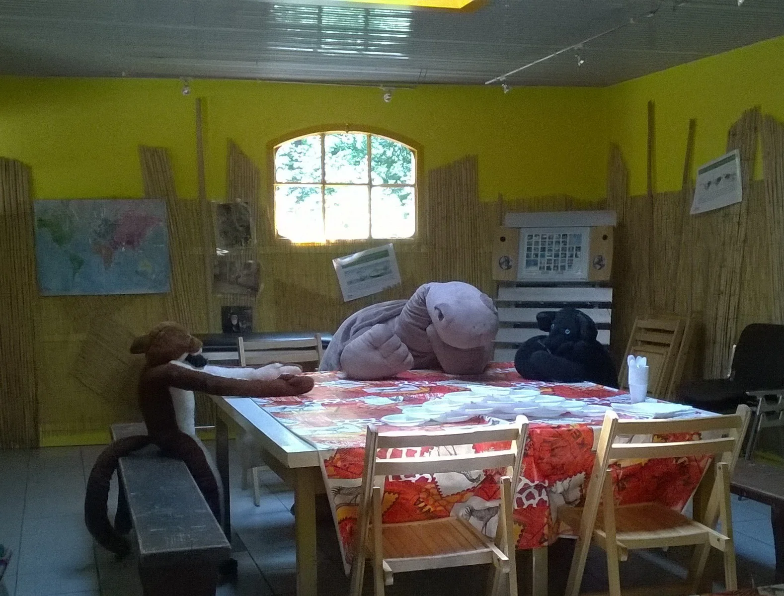 The zoo held birthday parties for kids in our dressing room. We prepared the stuffed animals to be ready for a party!