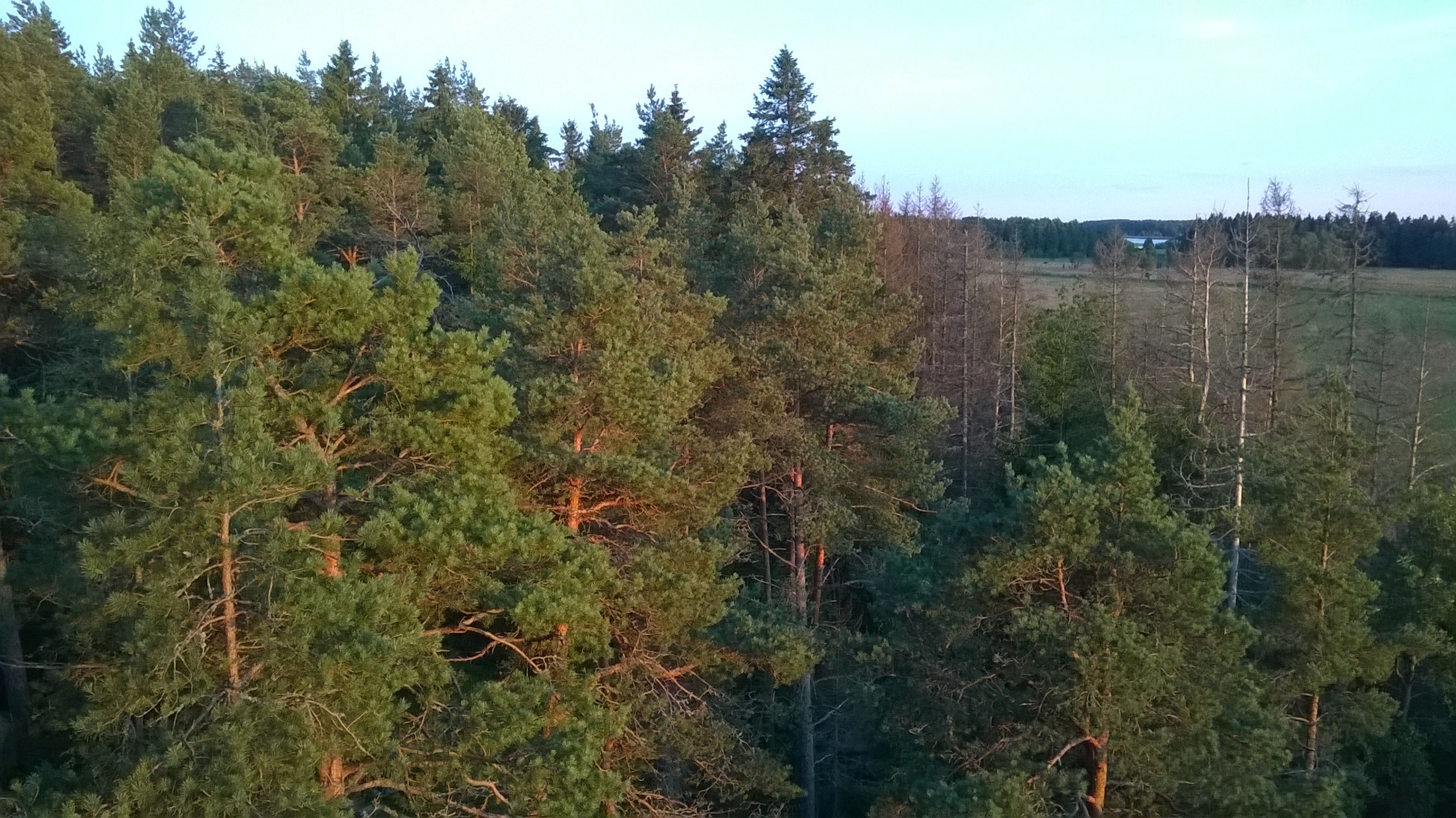 Näkymää Mietoisenlahden lintutornista