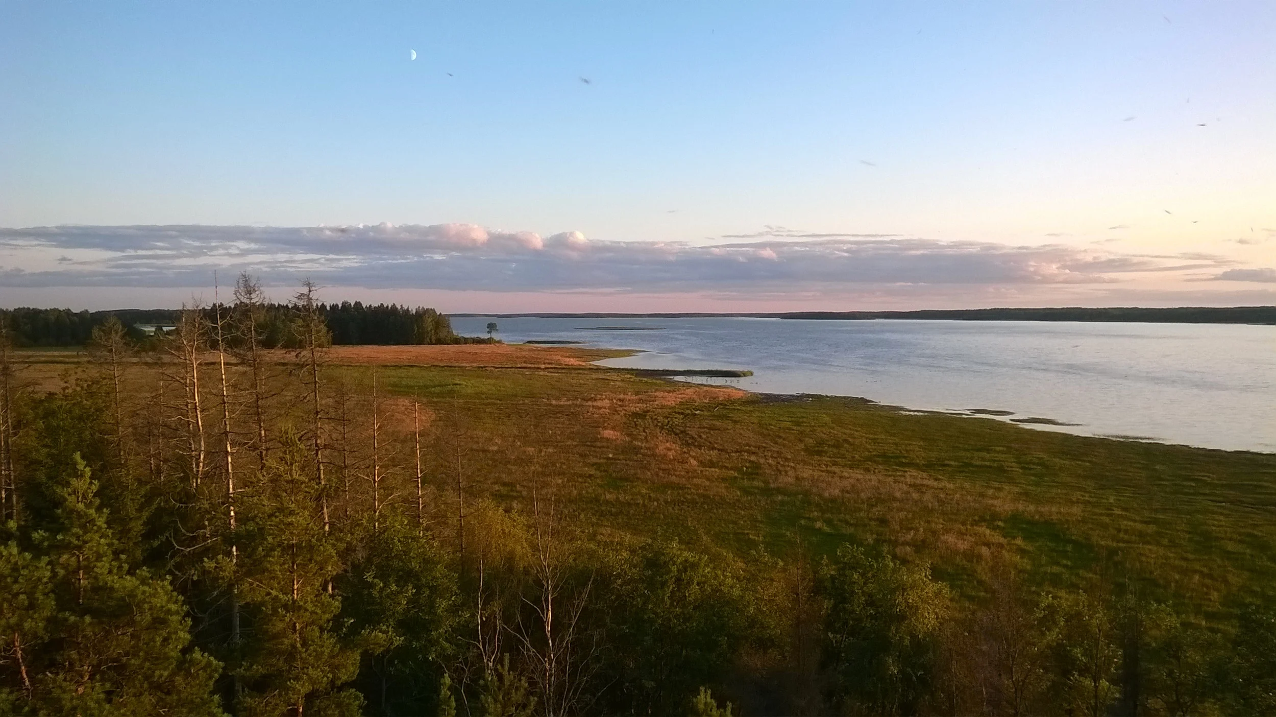 Sade: Saaren Kartanon residenssi 20.7-2.8