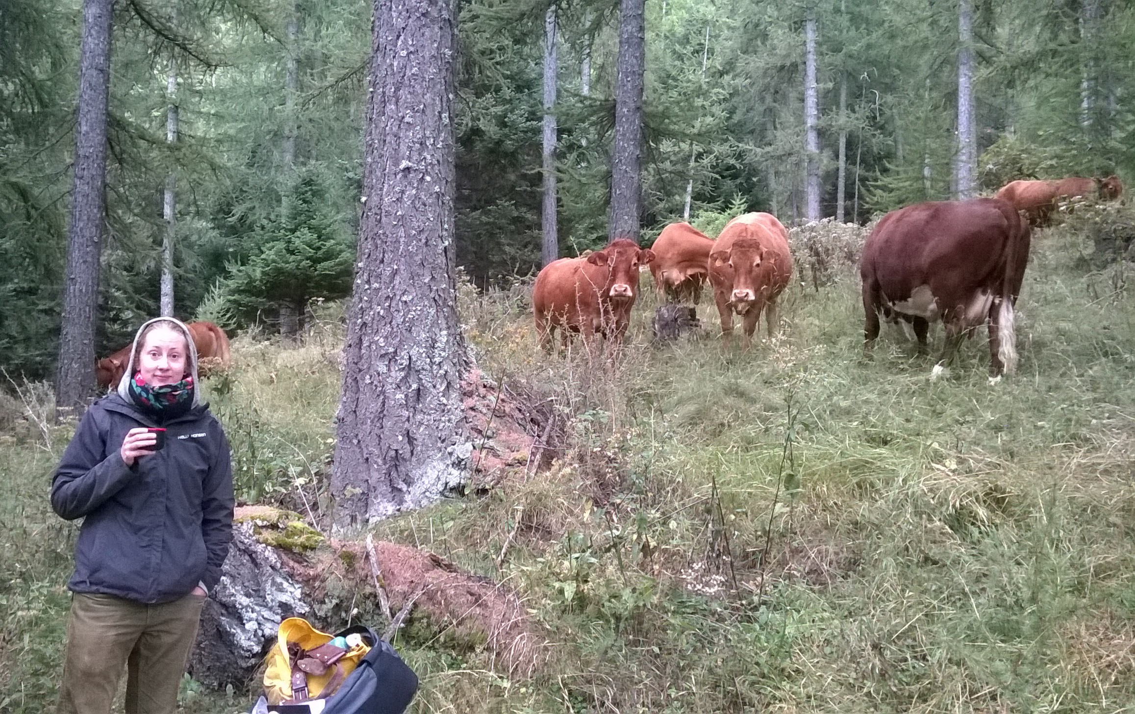 The project was attracting quite a lot of positive attention from the local habitants.