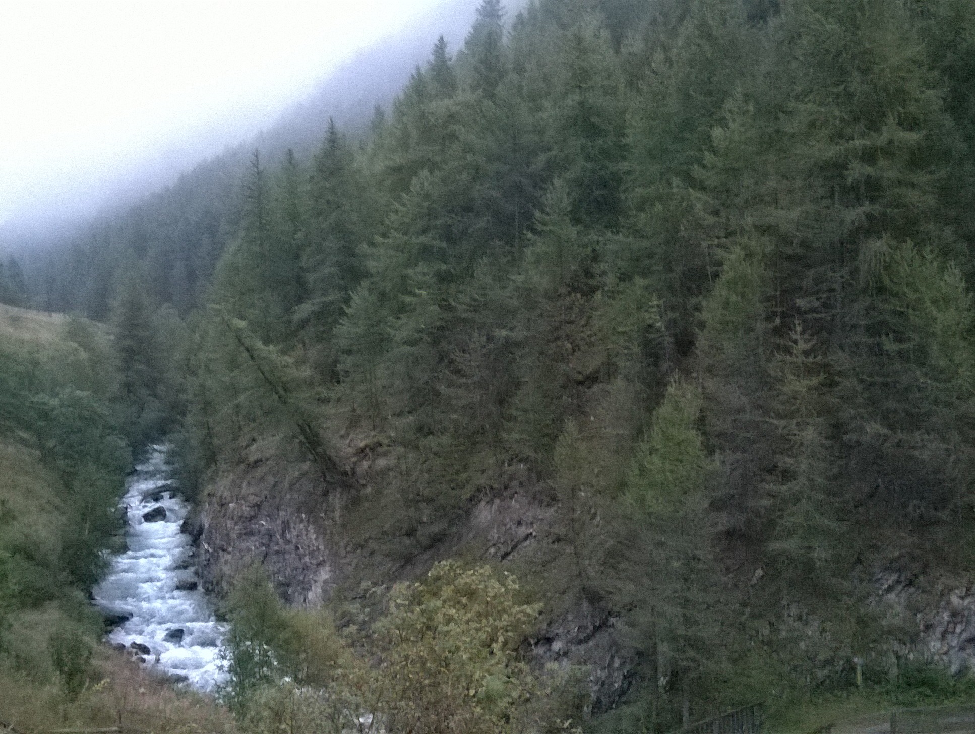 On the right side is the forest we were working in.