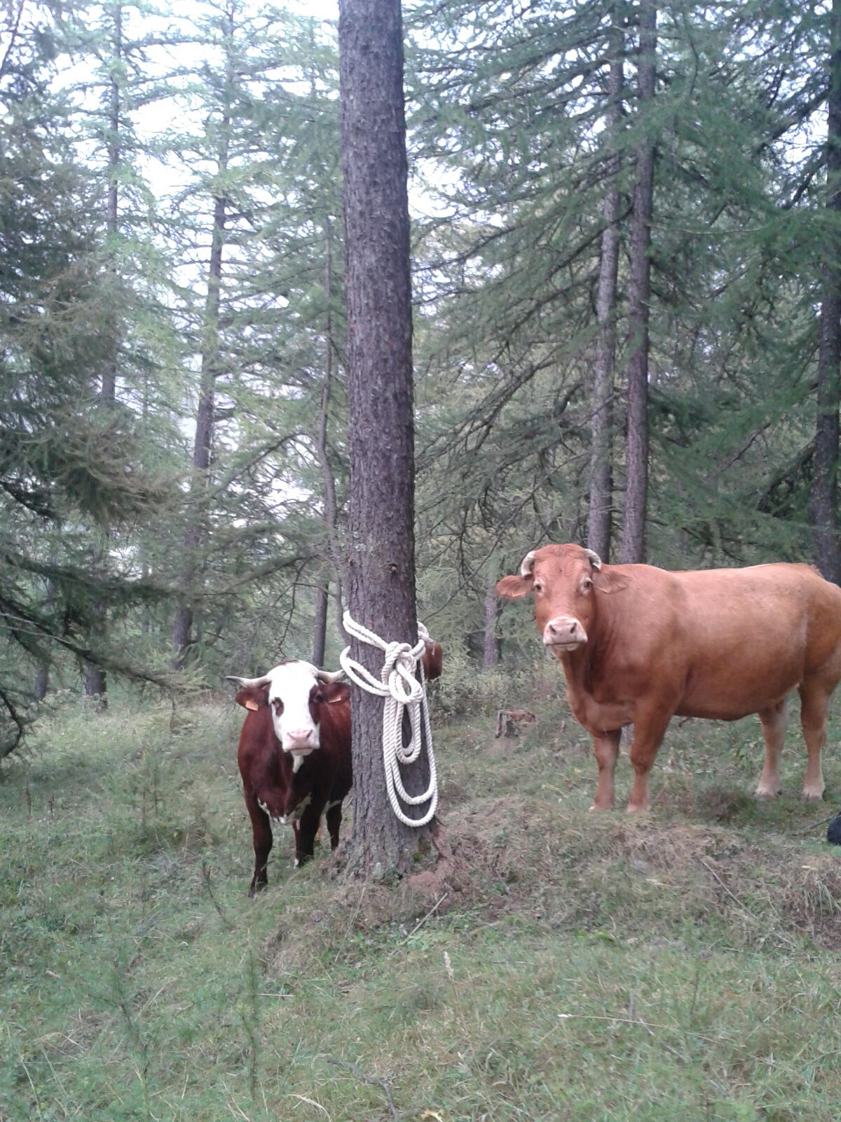 Sade: Residency in La Grave, France