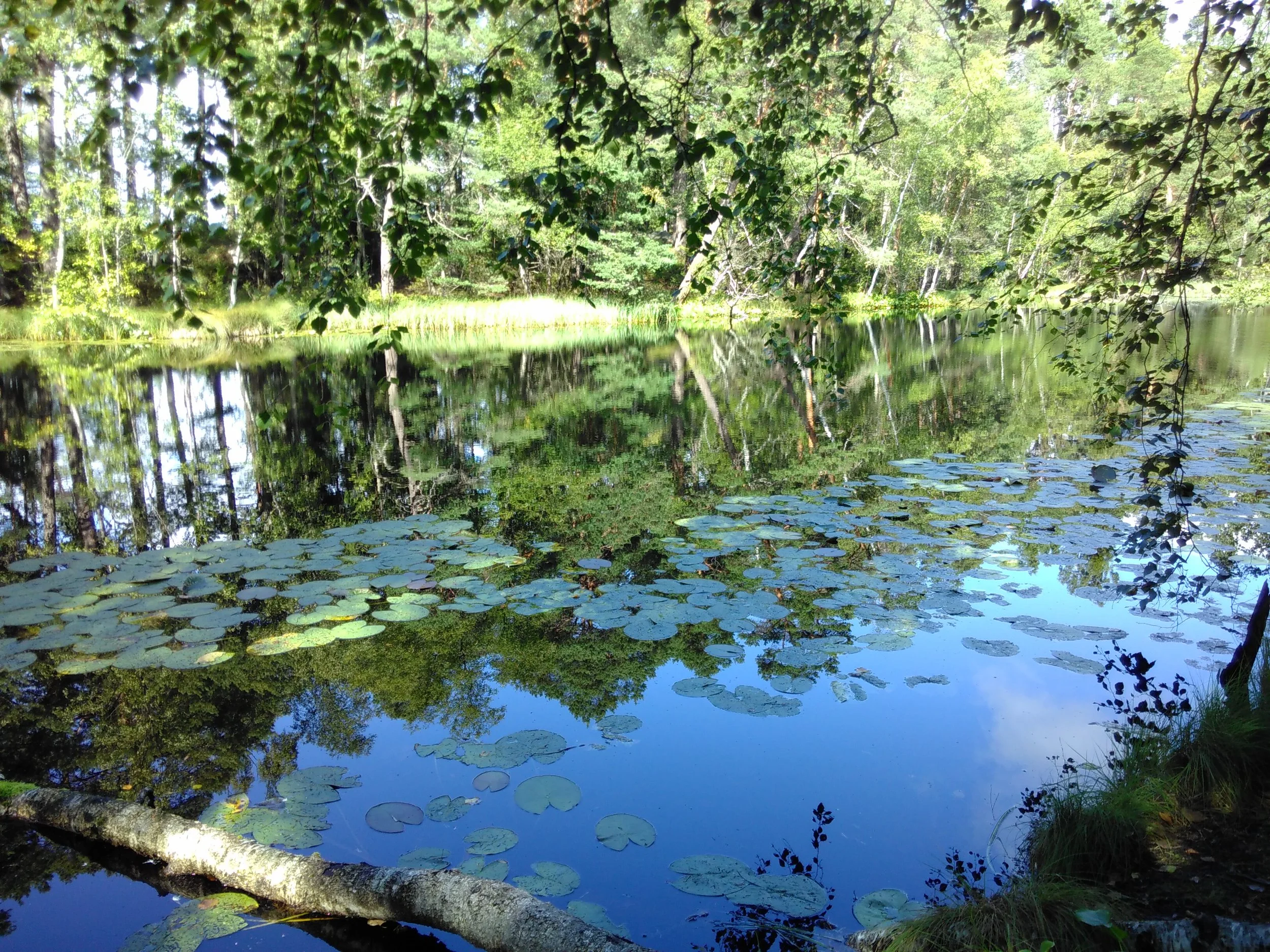 Kruunuvuori beauty from the last performance day.