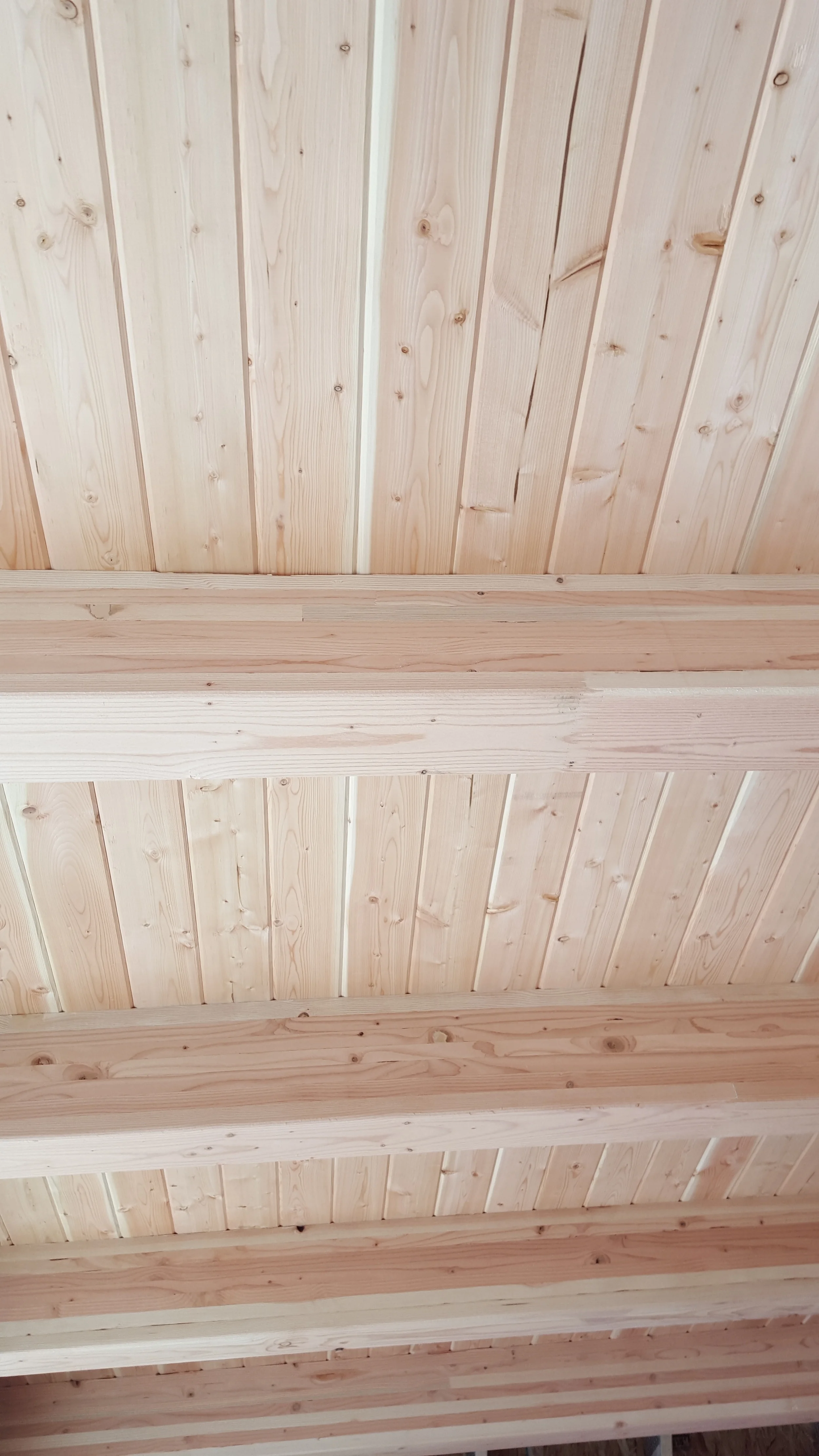 20160207_115955.jpg