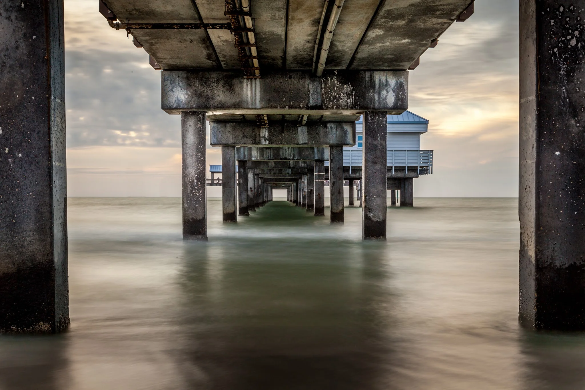 The Launch of C-Shel Photography