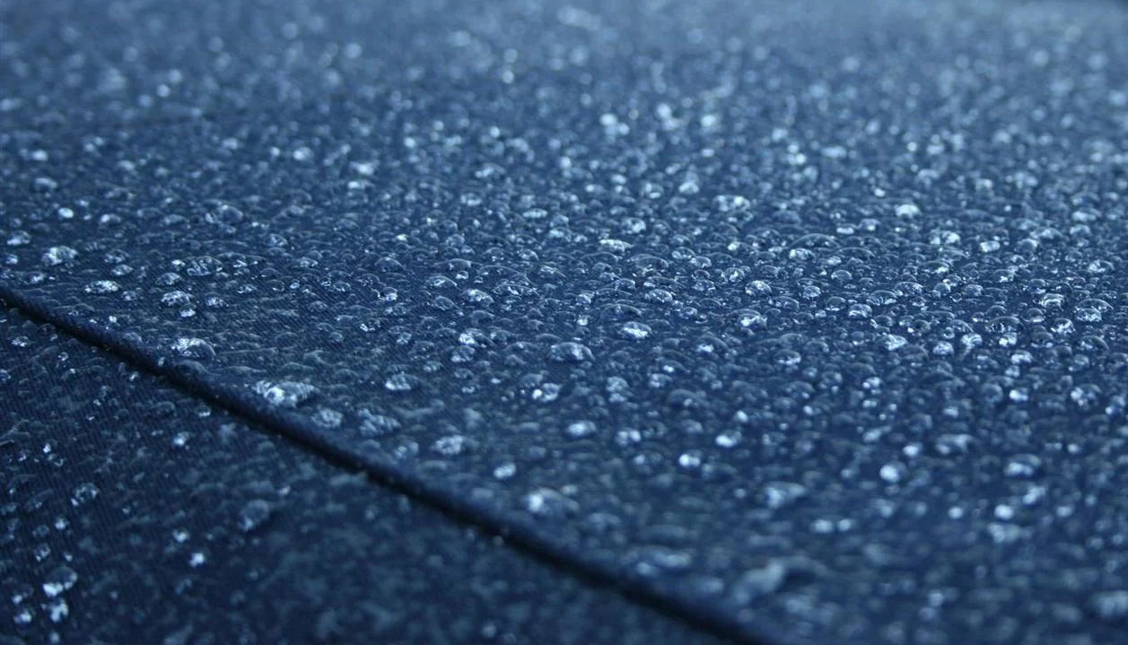 How to Get Rid of Mold & Mildew from Boat Canvas