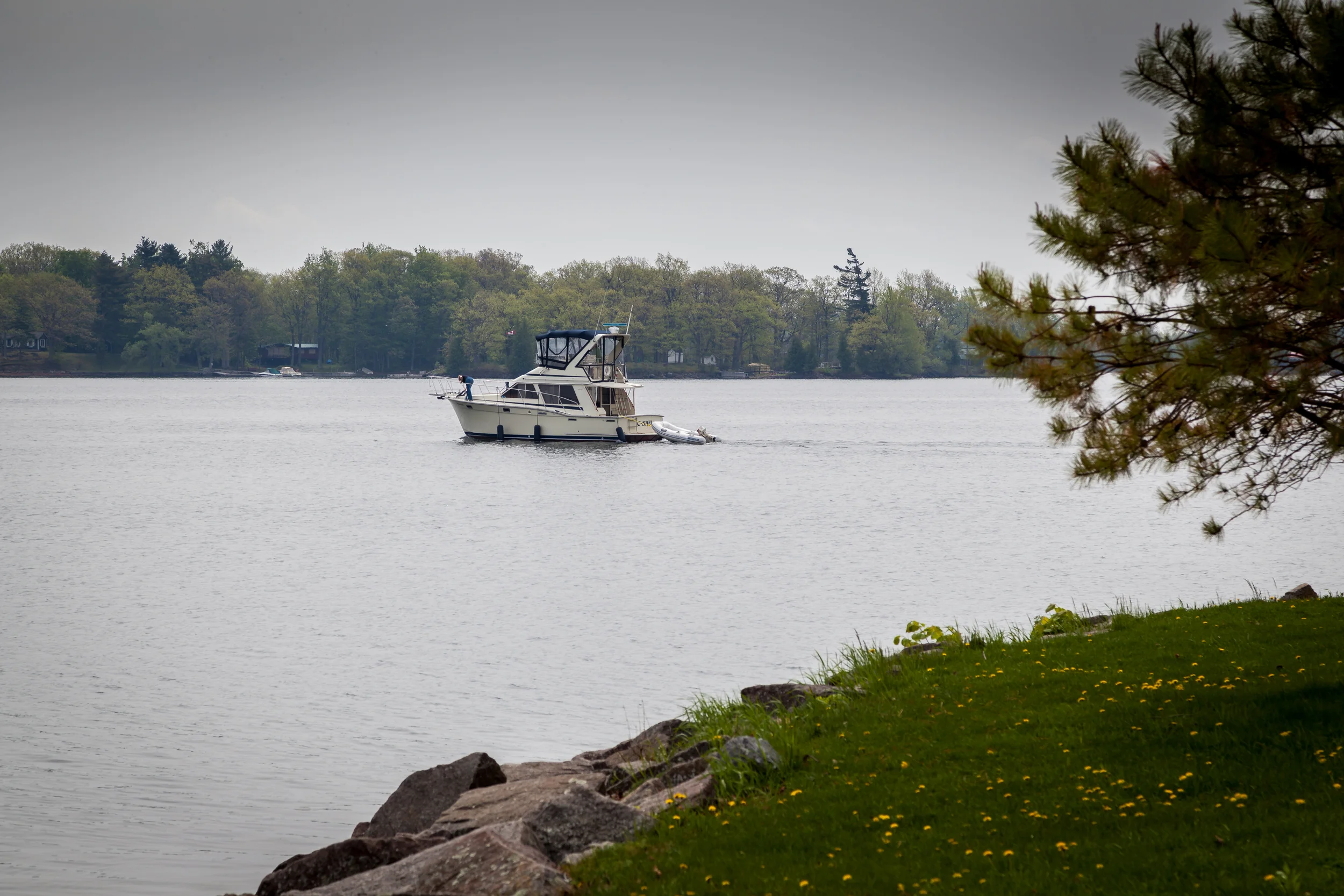 Plans, Don't Bet on Them