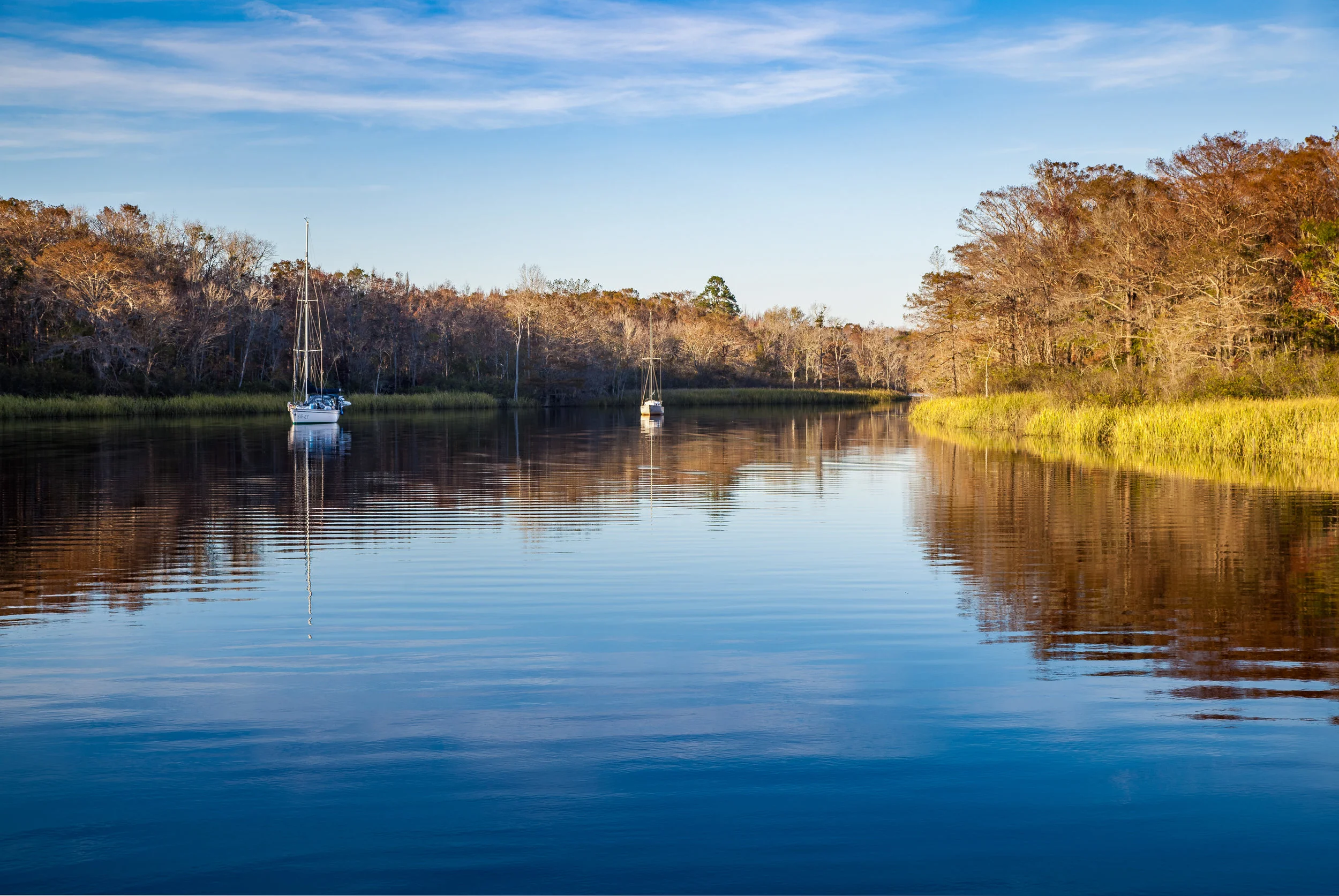 Photo By C-Shel Photography