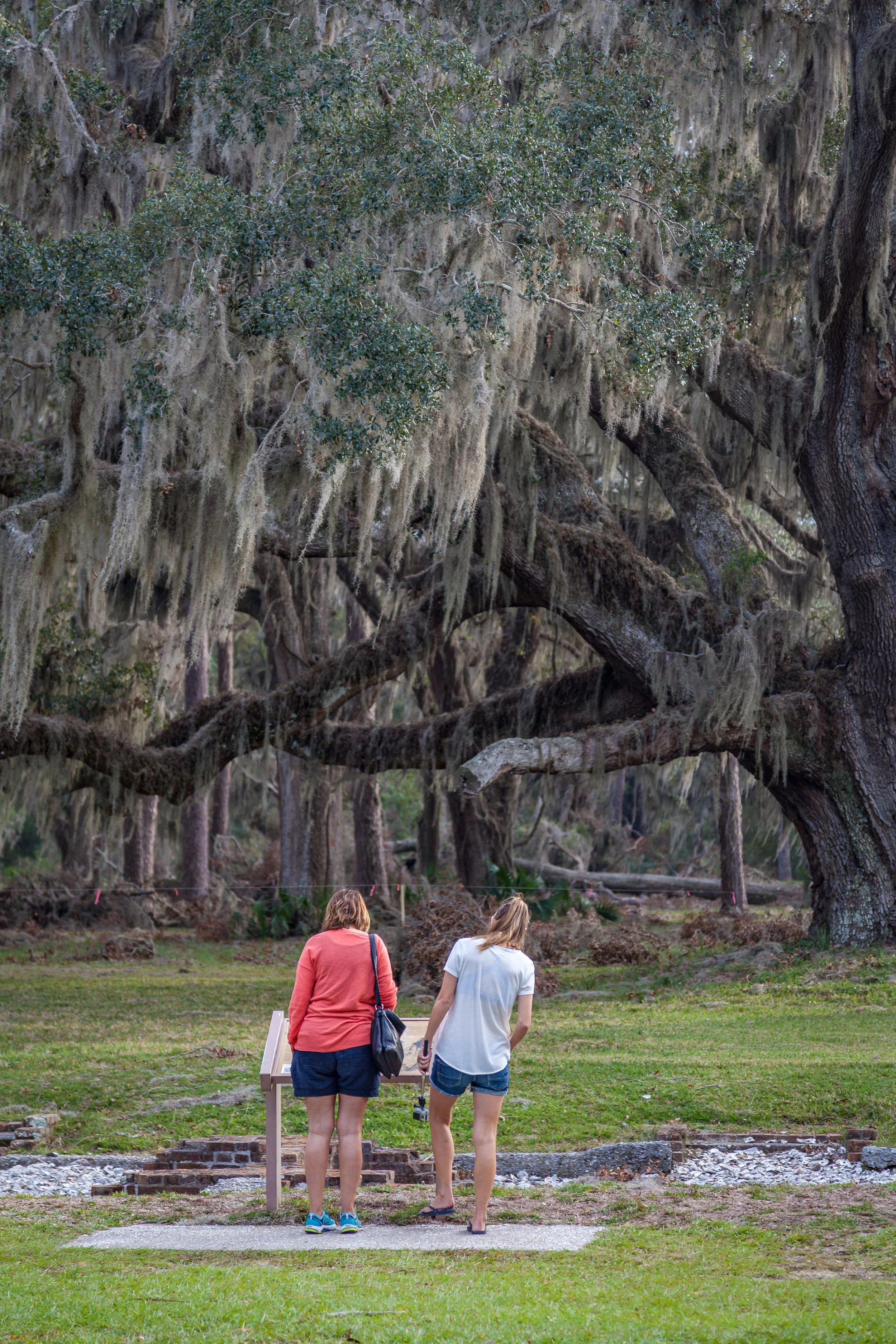 Photo By C-Shel Photography