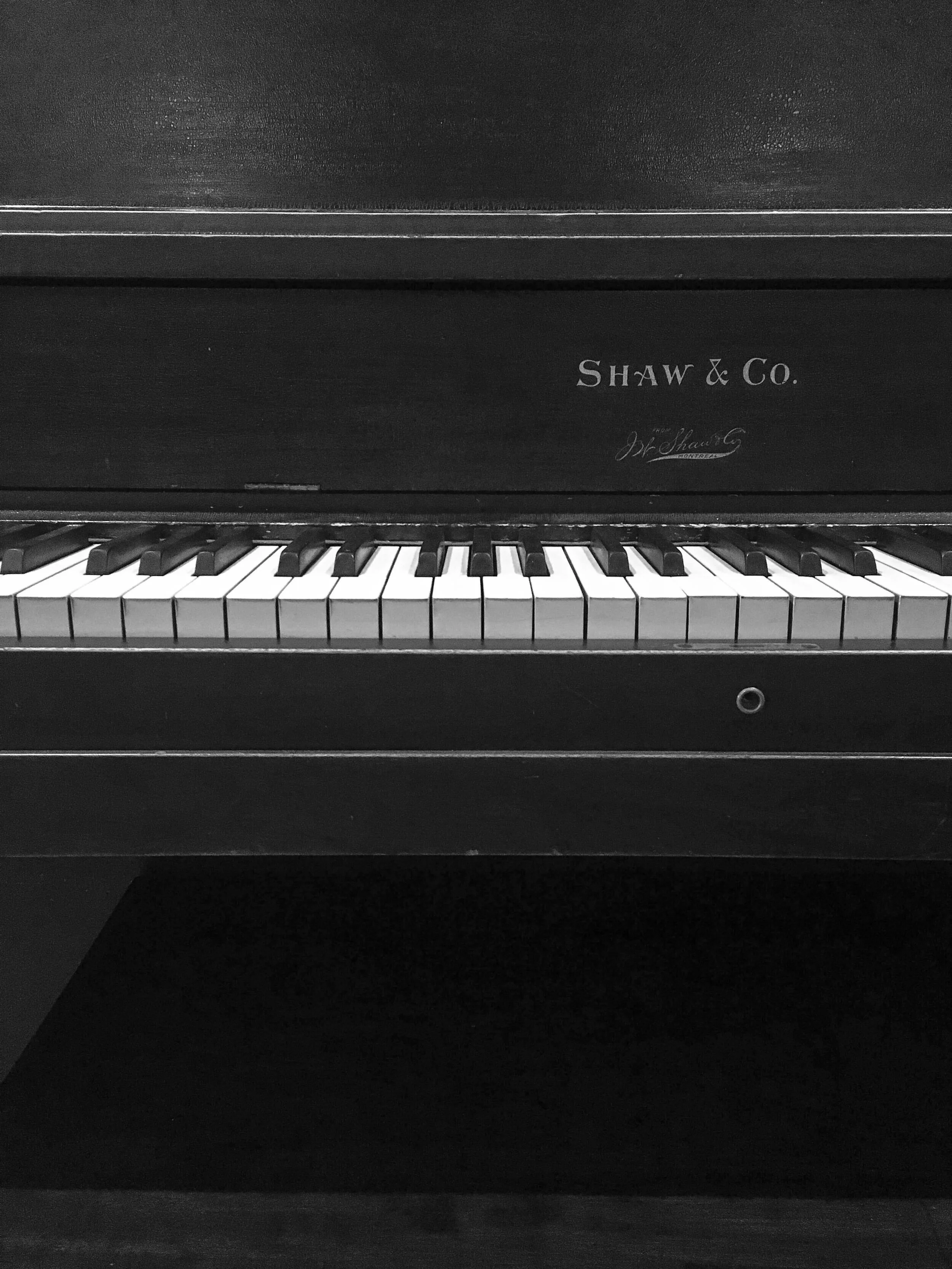 Eclectic Music Piano, Guitar, Voice, & Ukulele Lessons