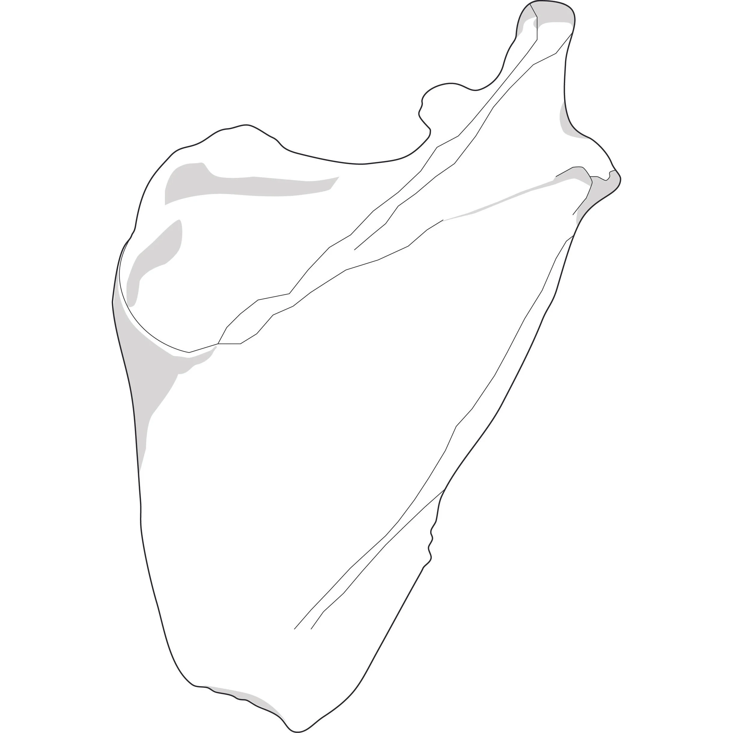 scapula_1 copy.jpg