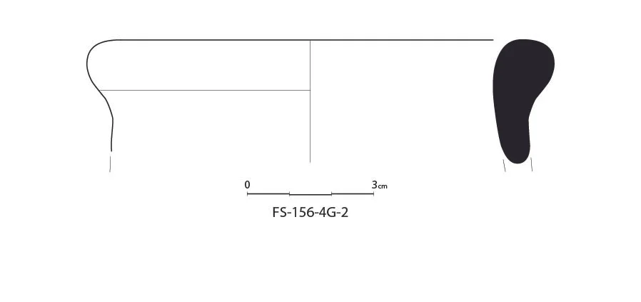 FS-156-4G-2-01.jpg