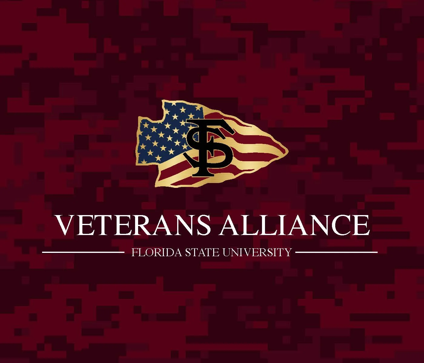   pdf of Veterans Alliance brochure  