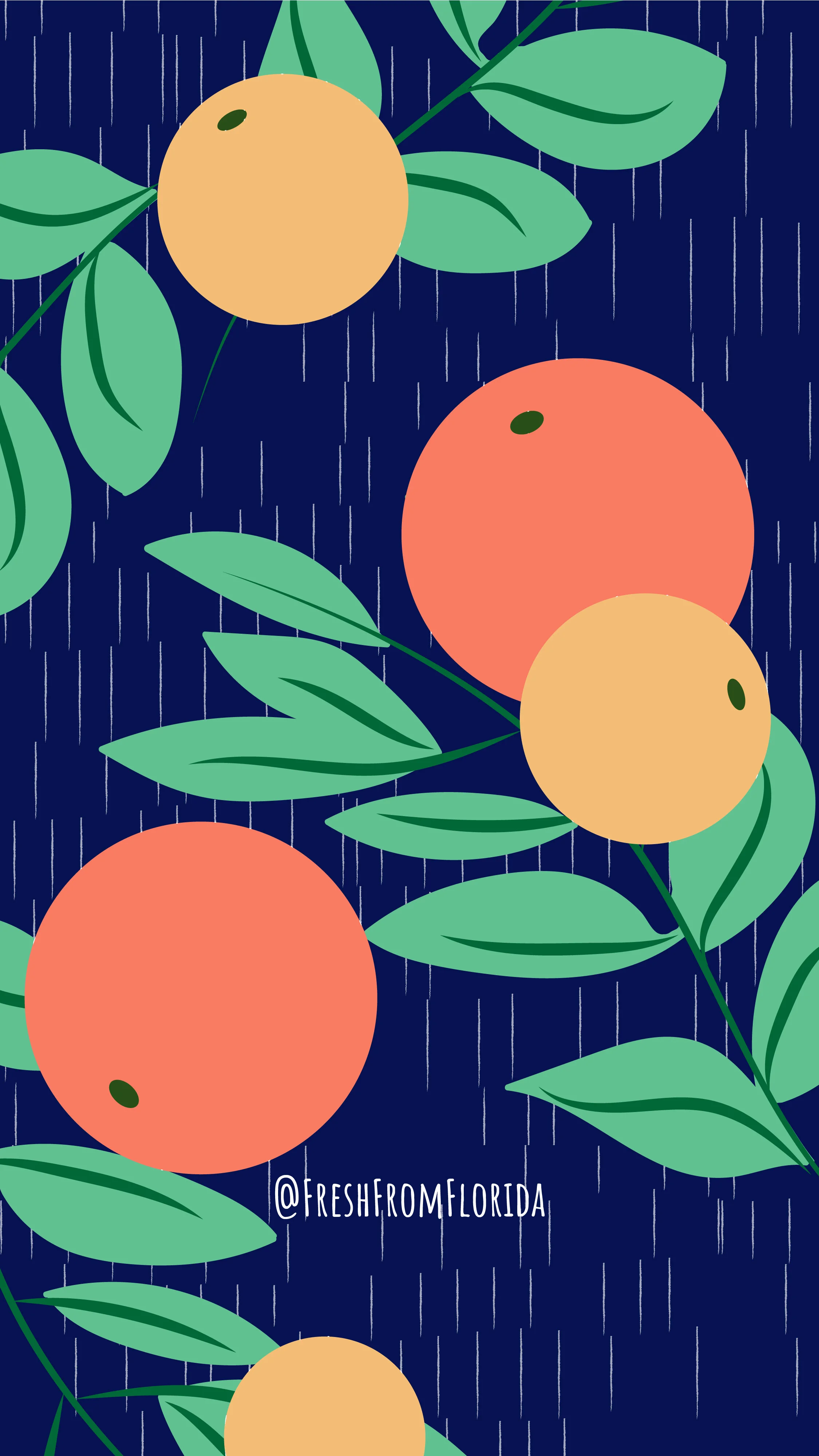 oranges_background-01.jpg