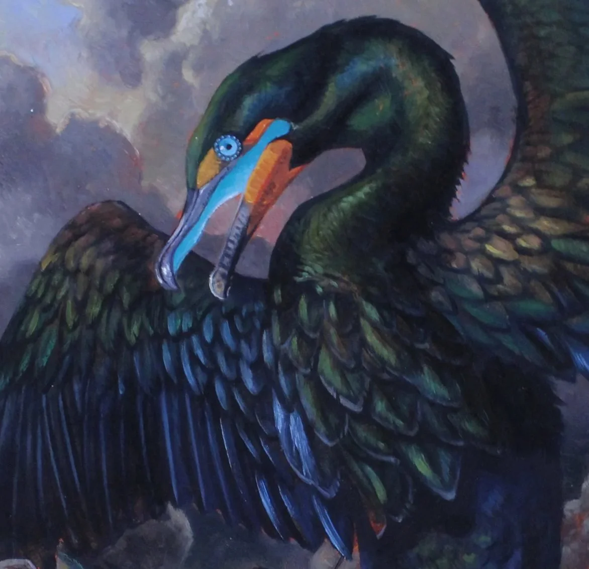 thompson_kerry_roc_cormorant.jpg