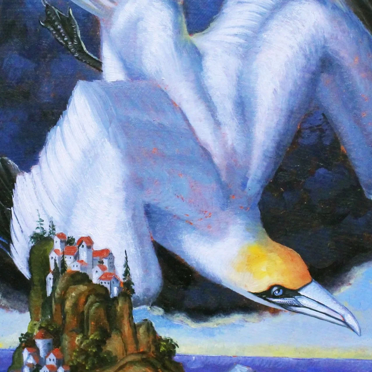 thompson_kerry_roc_gannet.jpg