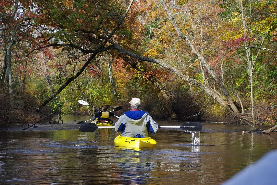 kayak.jpg