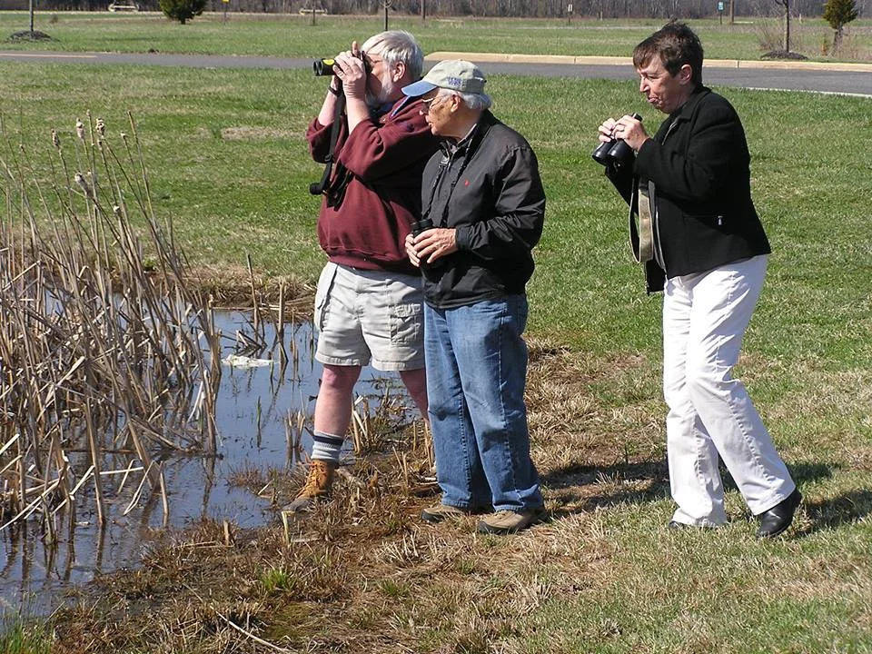 birding.jpg