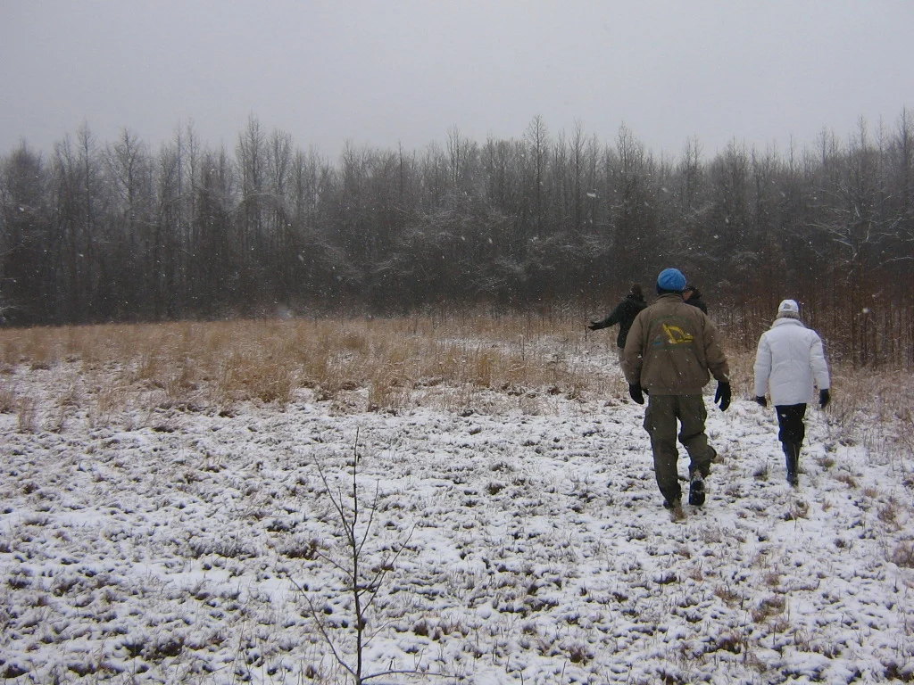 Cold Spring FIeld.JPG