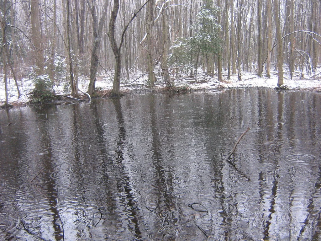 Cold Spring Pond.JPG