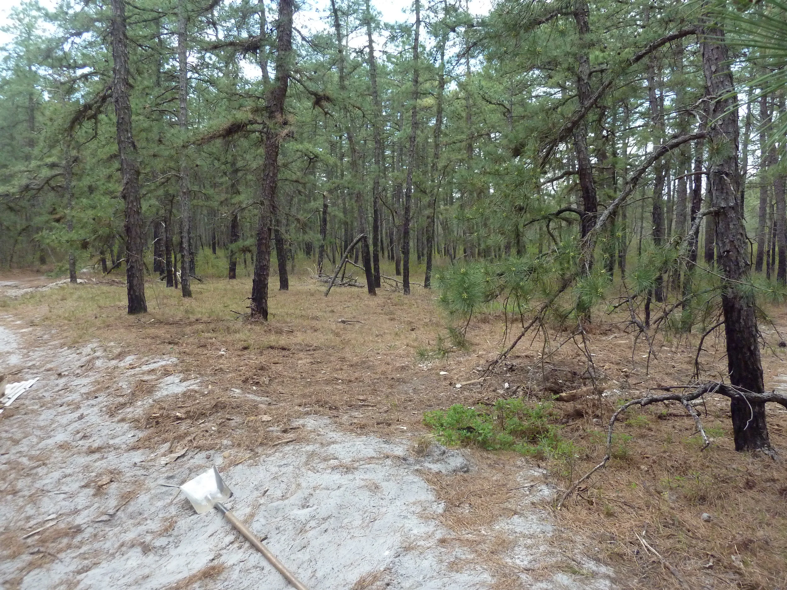 Second Pile GOne.JPG