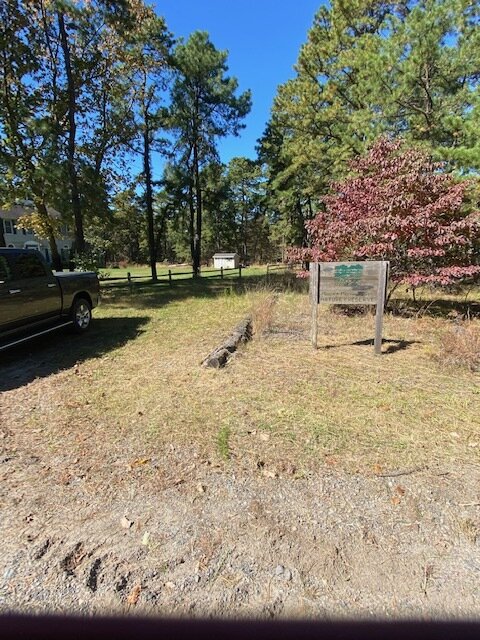 image4 (2).jpeg