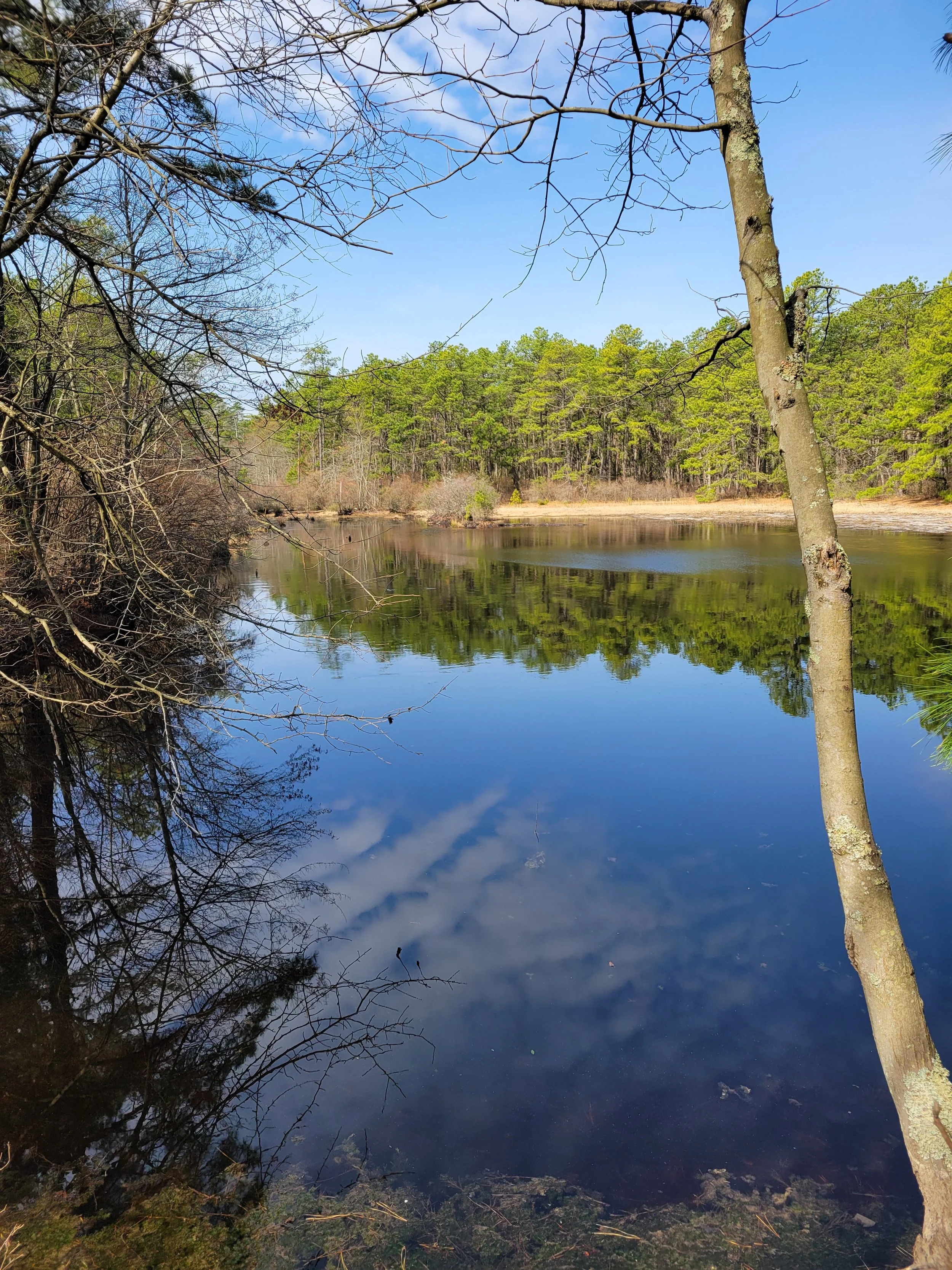 wurstpond.jpg