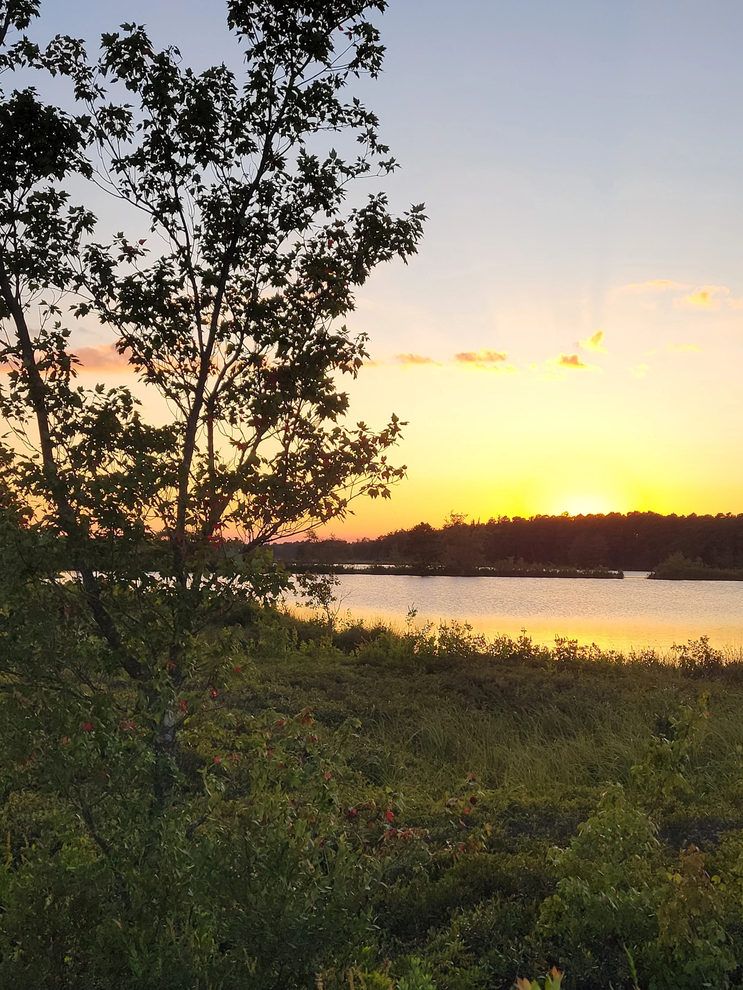 whitesbogsunset2.jpg