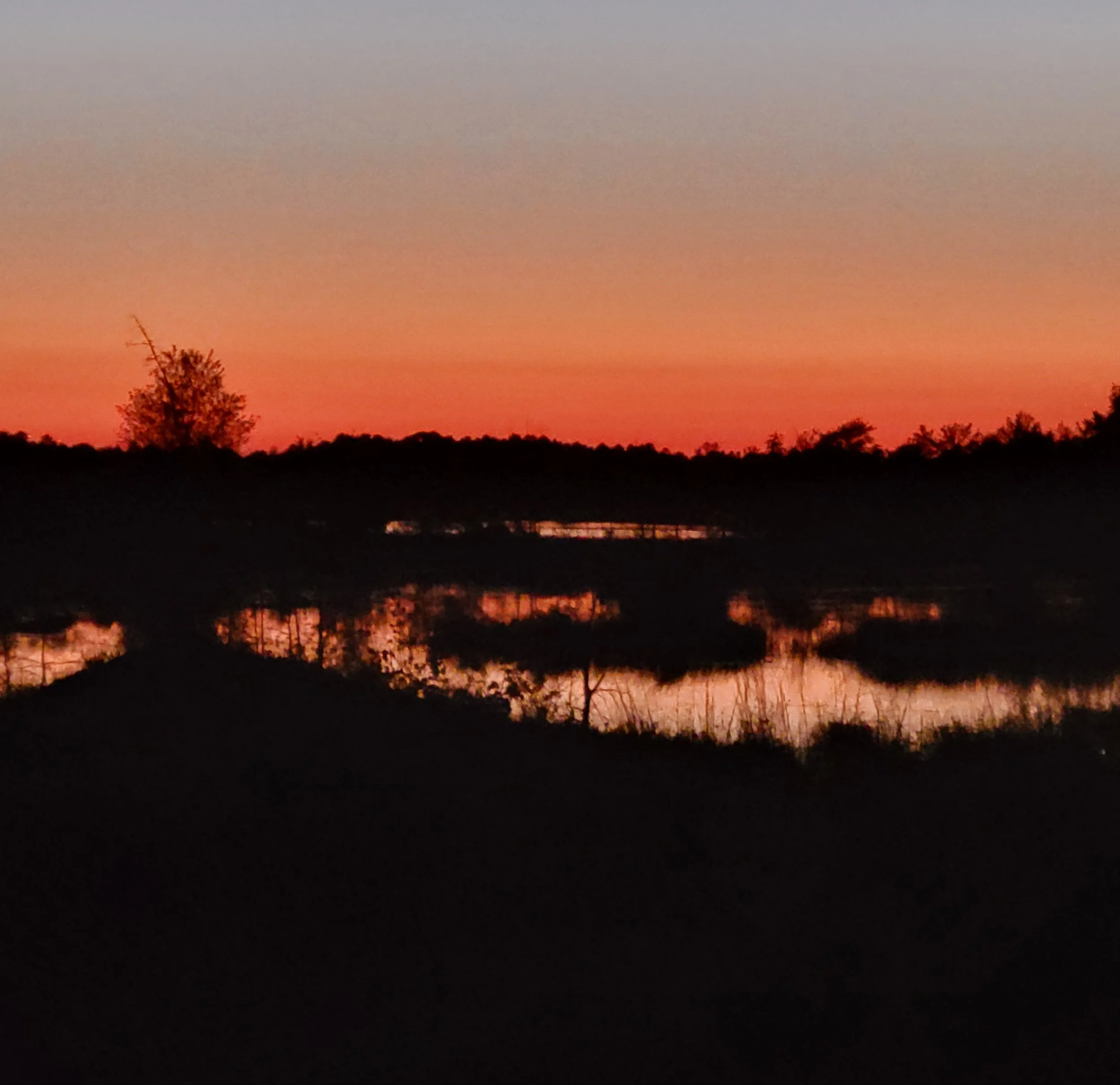 whitesbogsunset.jpg