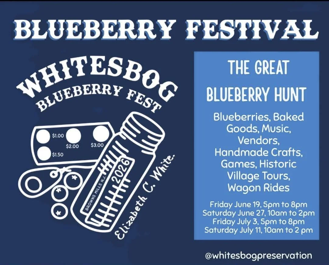 blueberry3.jpg