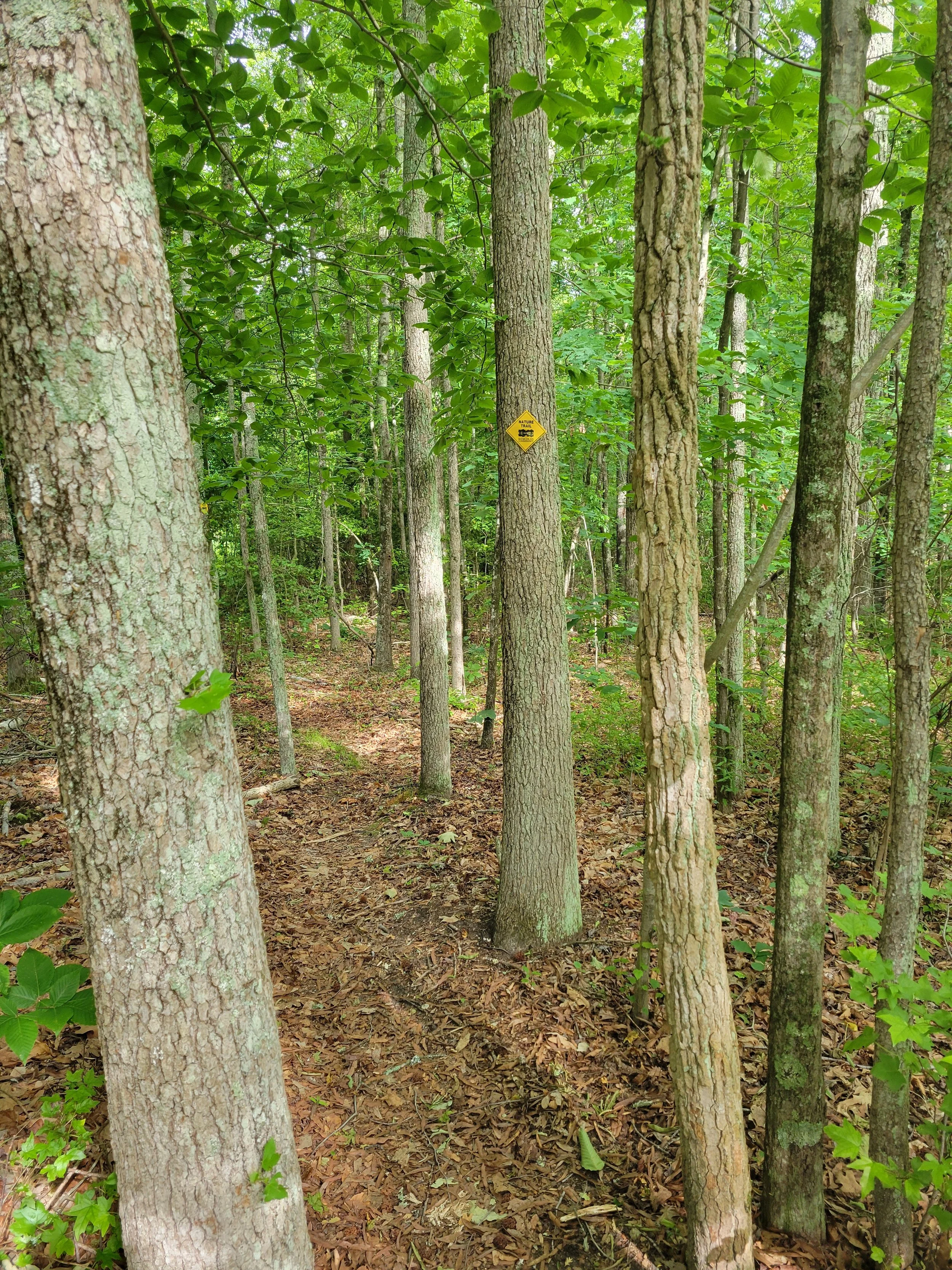 northbranchtrailheadsummer.jpg