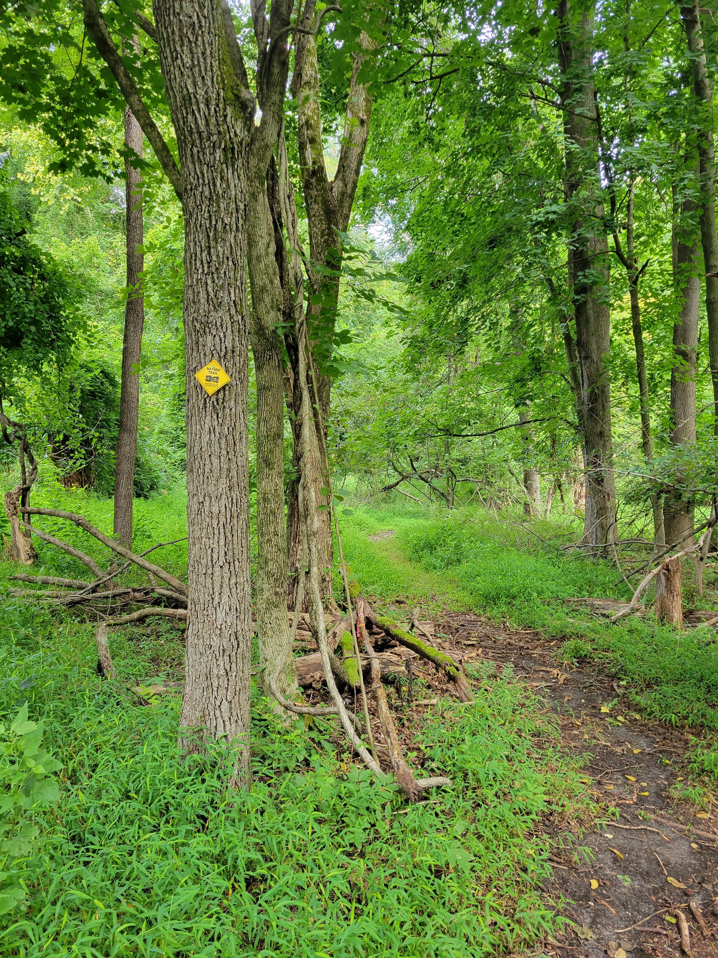 cowantrailsign.jpg