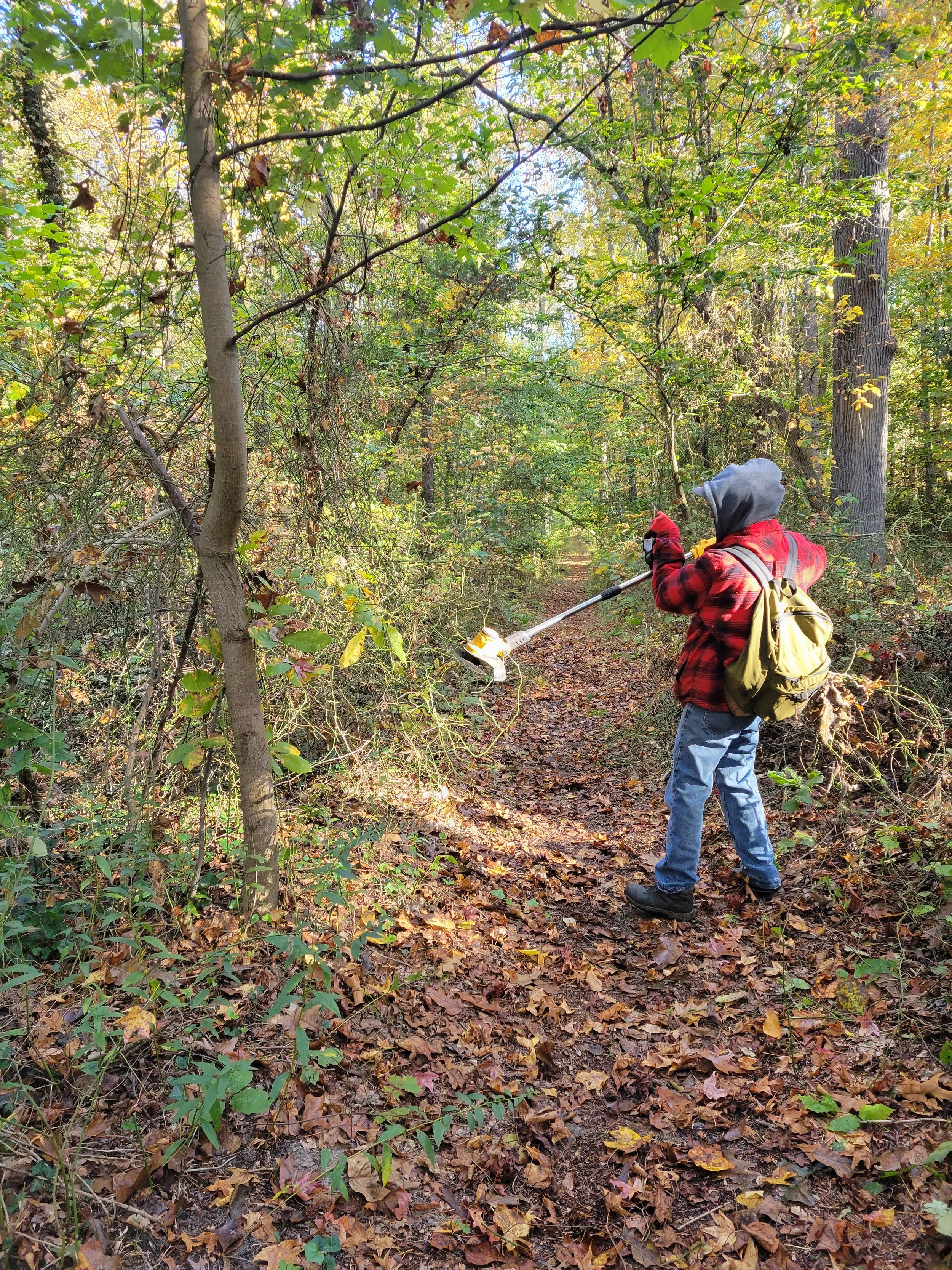 trailworkstevebeechwoods2.jpg
