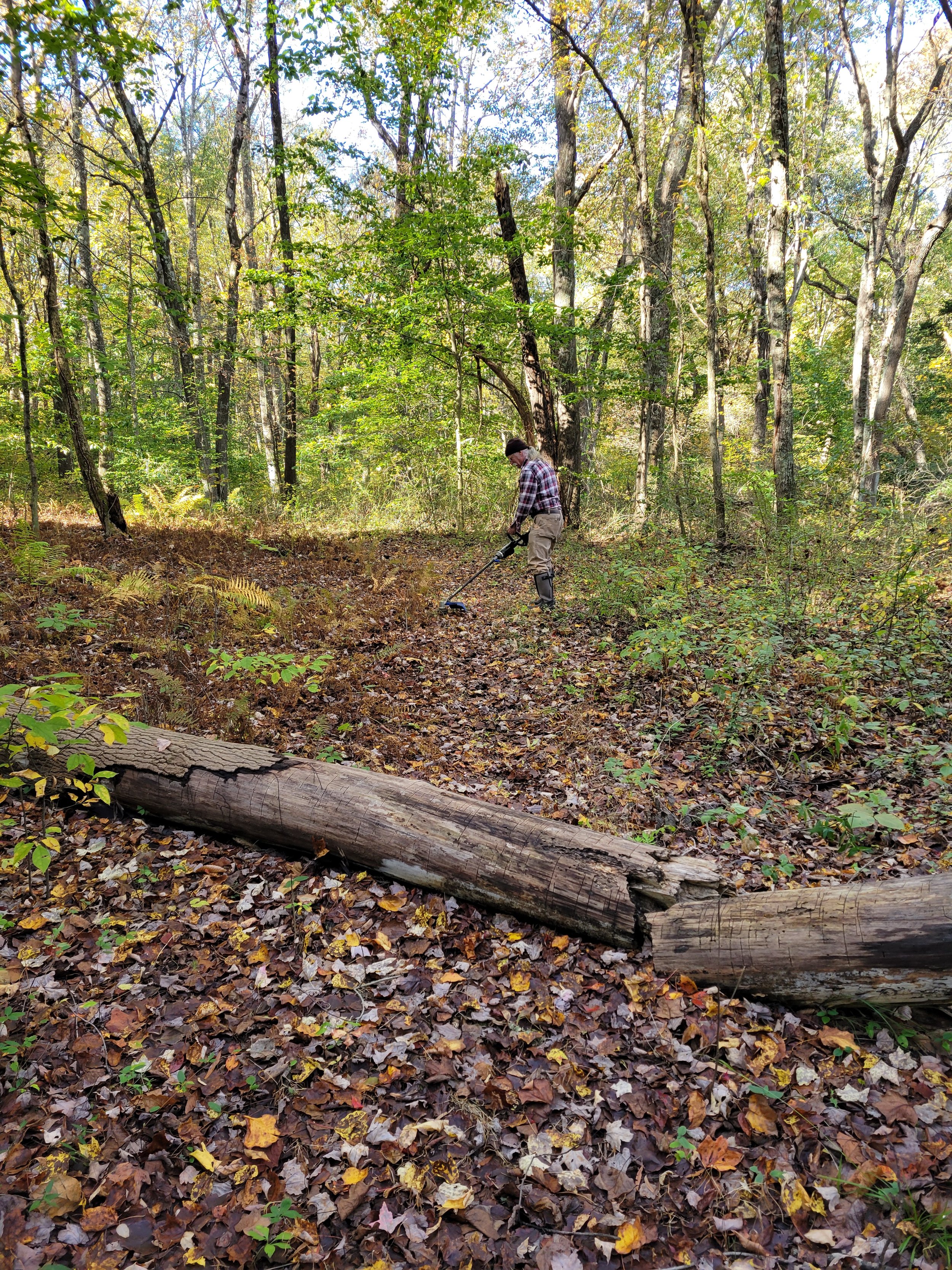 trailworkrickbeechwoods.jpg