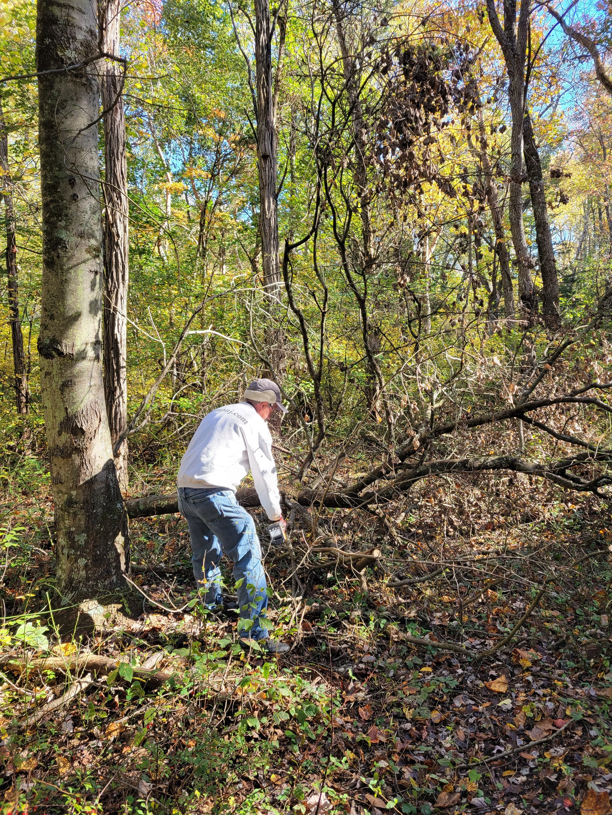 trailworkstevebeechwoods.jpg