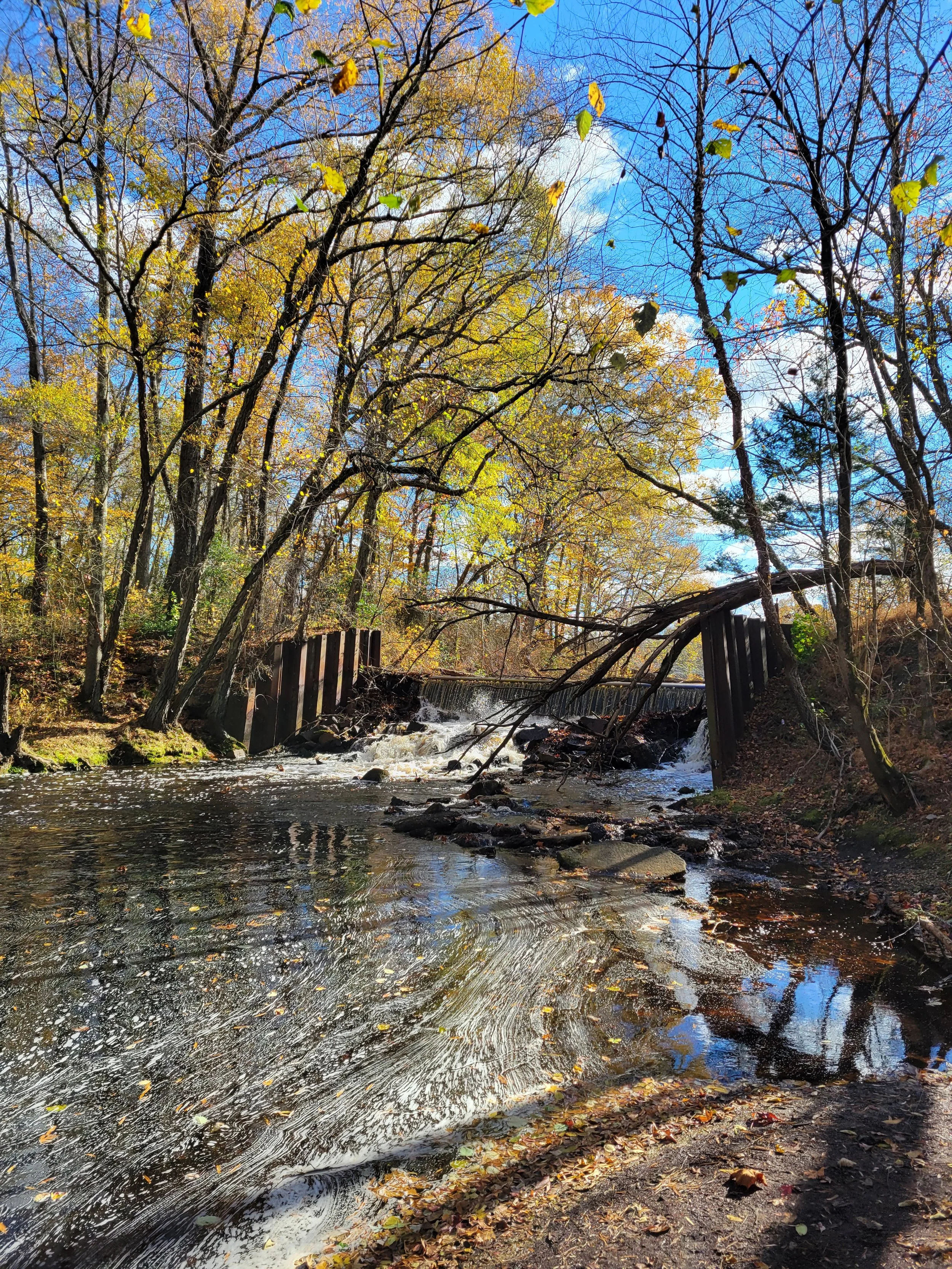 beechwoodsdam2.jpg