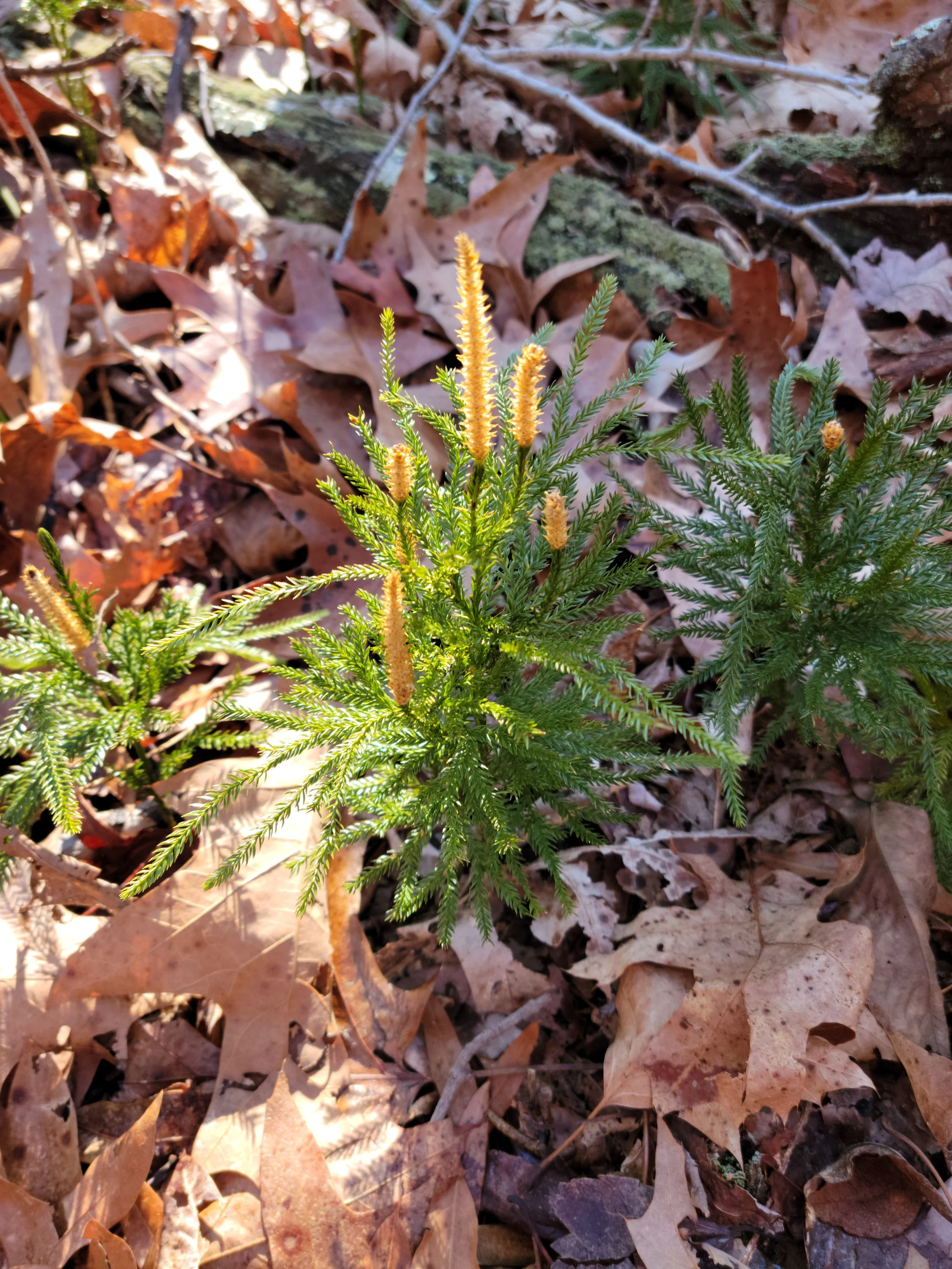 20230208_121743.jpg