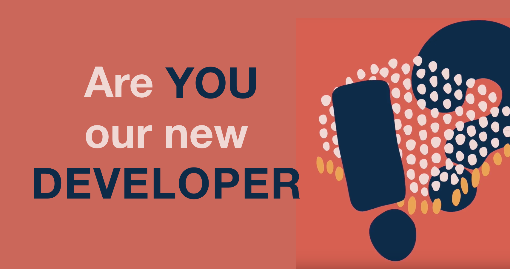DEVELOPER.png
