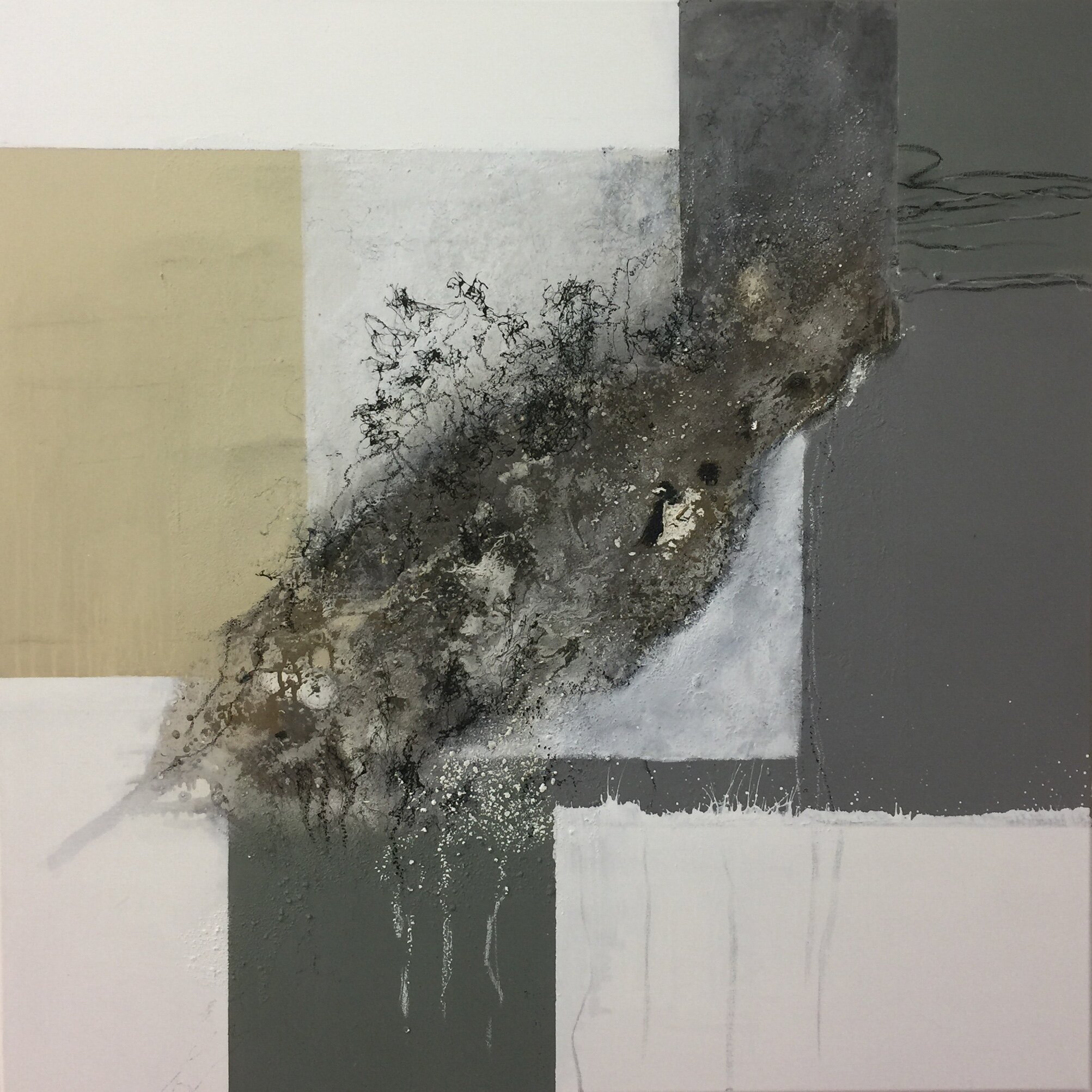 Outbreaks 1