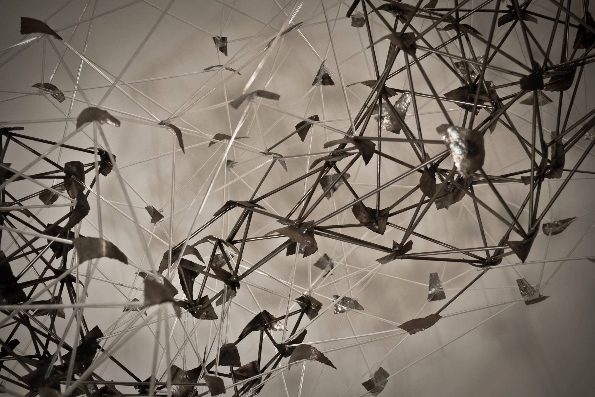 Murmuration