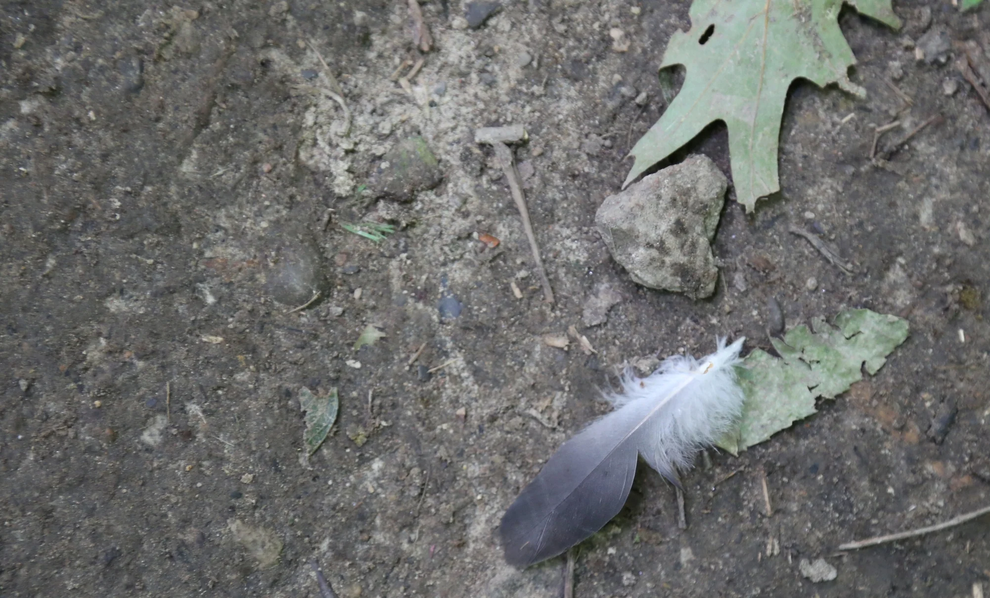 005A8153.JPG