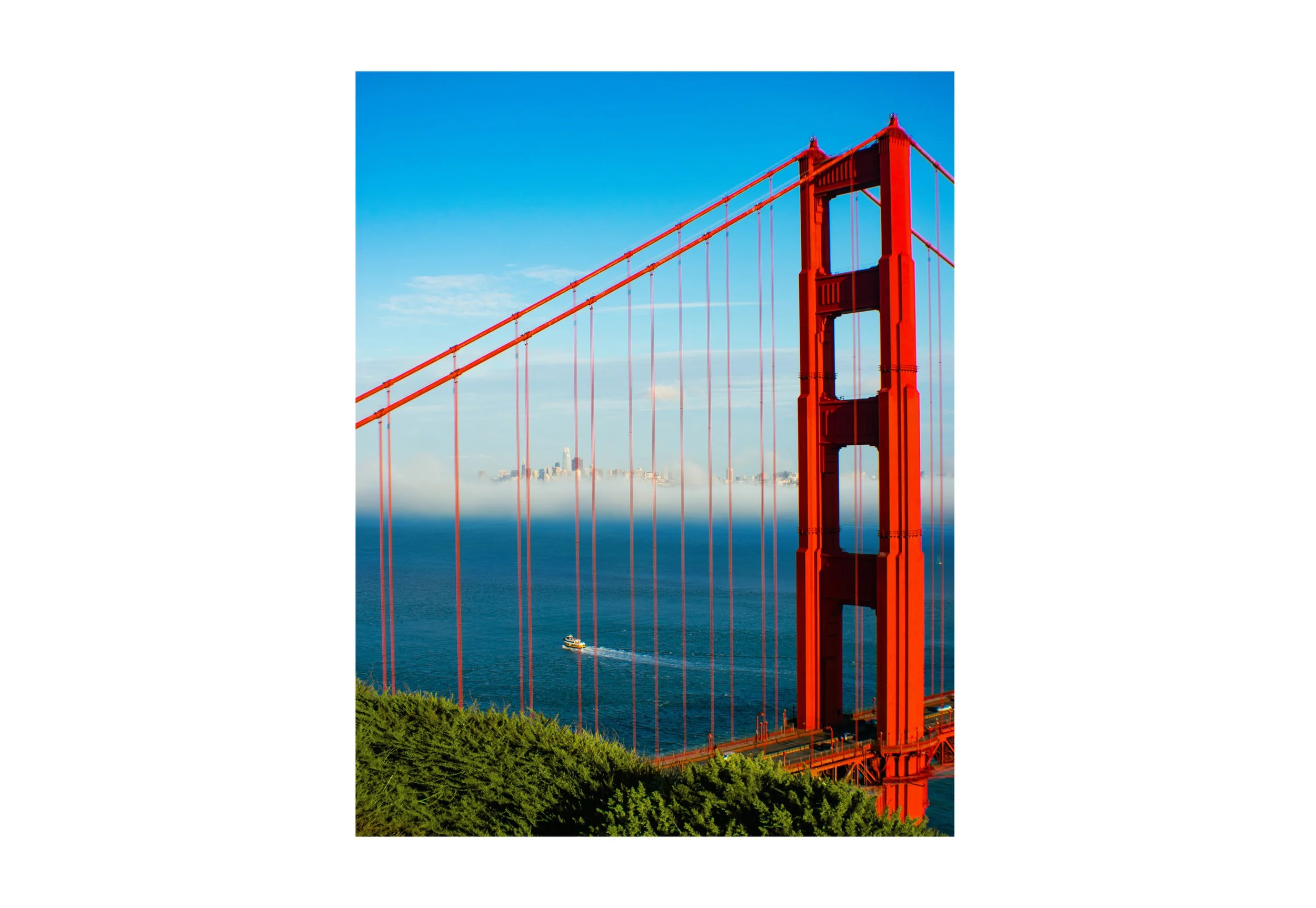 SF_01.jpg
