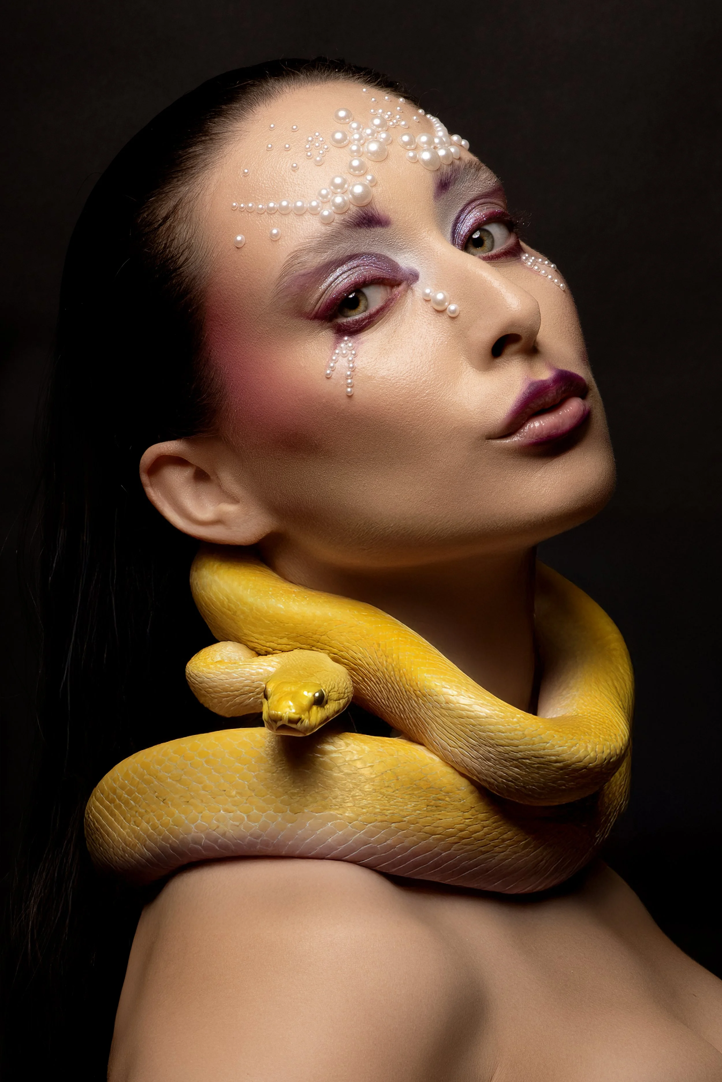 Snake01.jpg