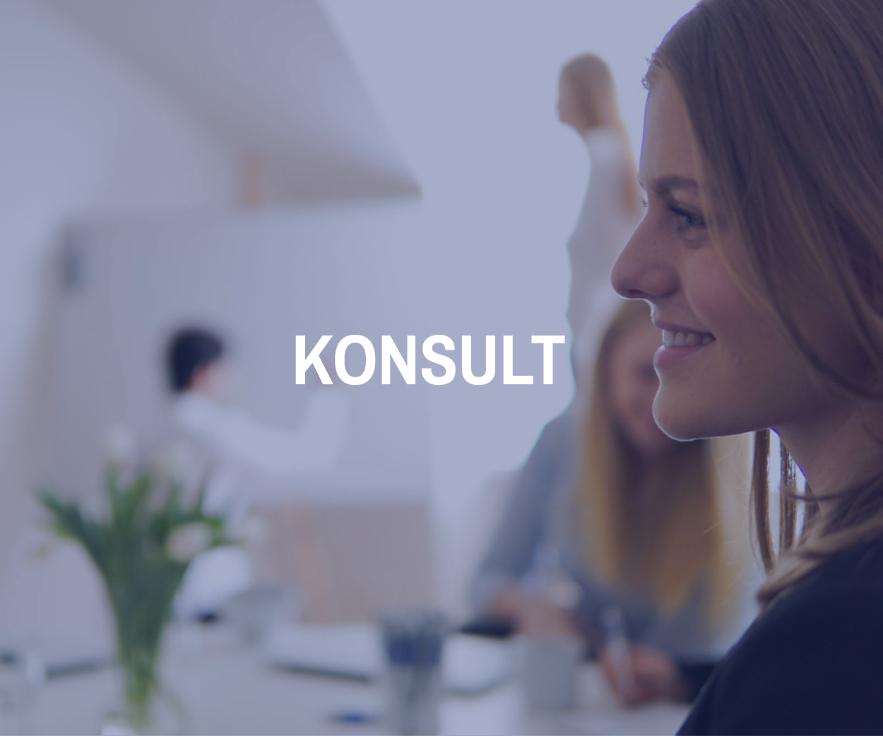 KONSULTBILD.png
