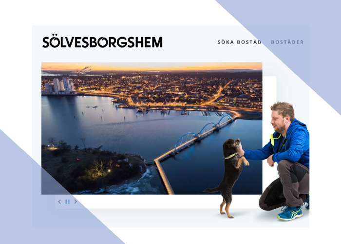 case-sölves.png