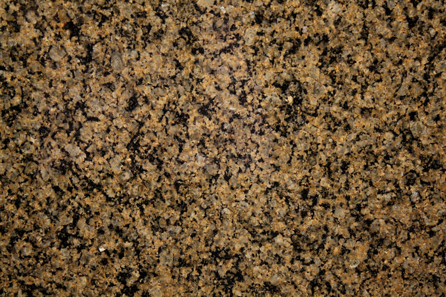 tropical brown
