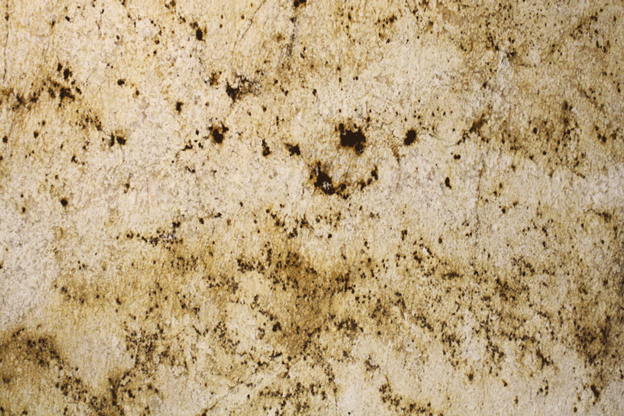 colonial-gold-granite.gif