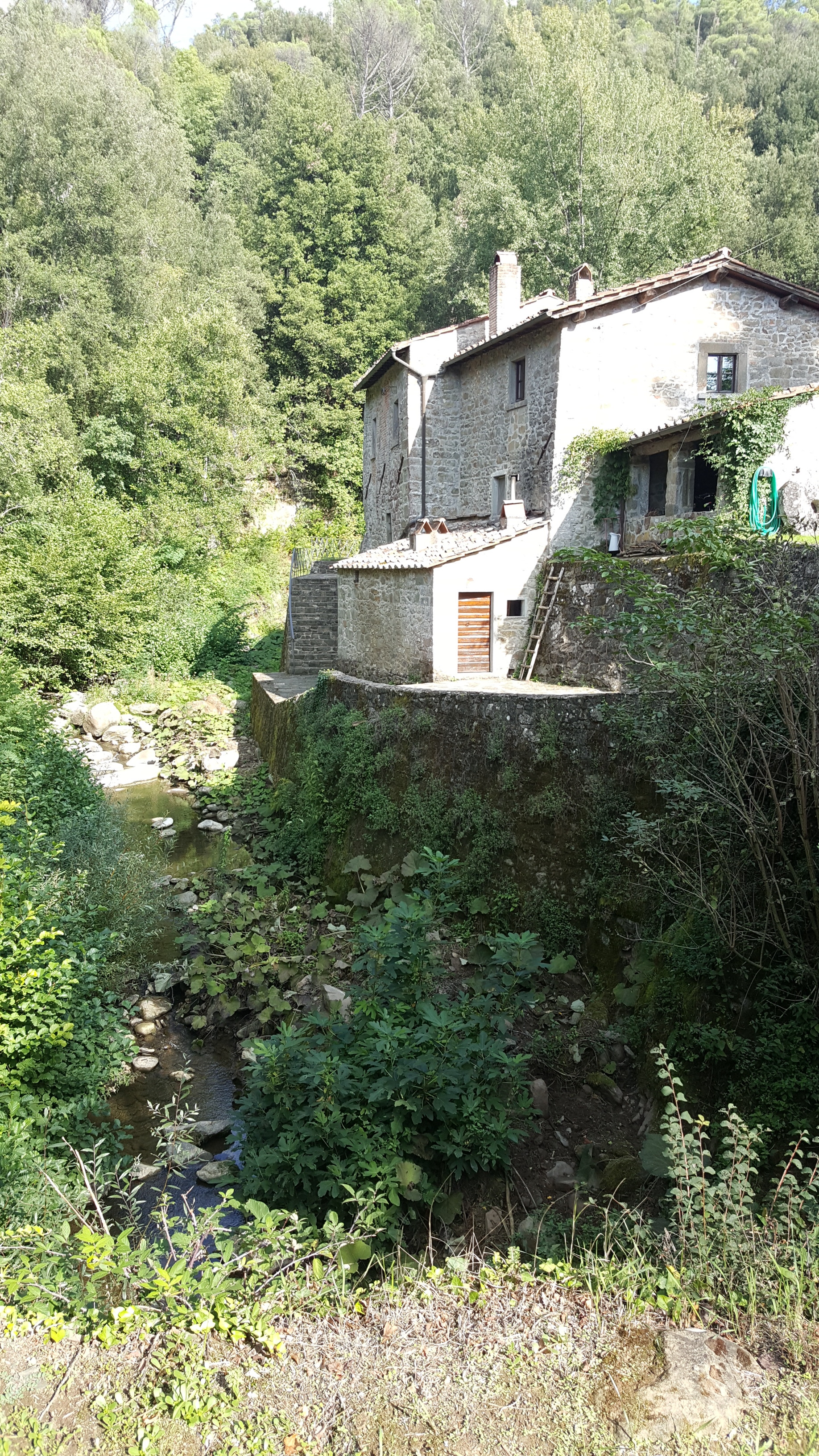 We discovered a small creek running past a farmhouse on one of our walks.
